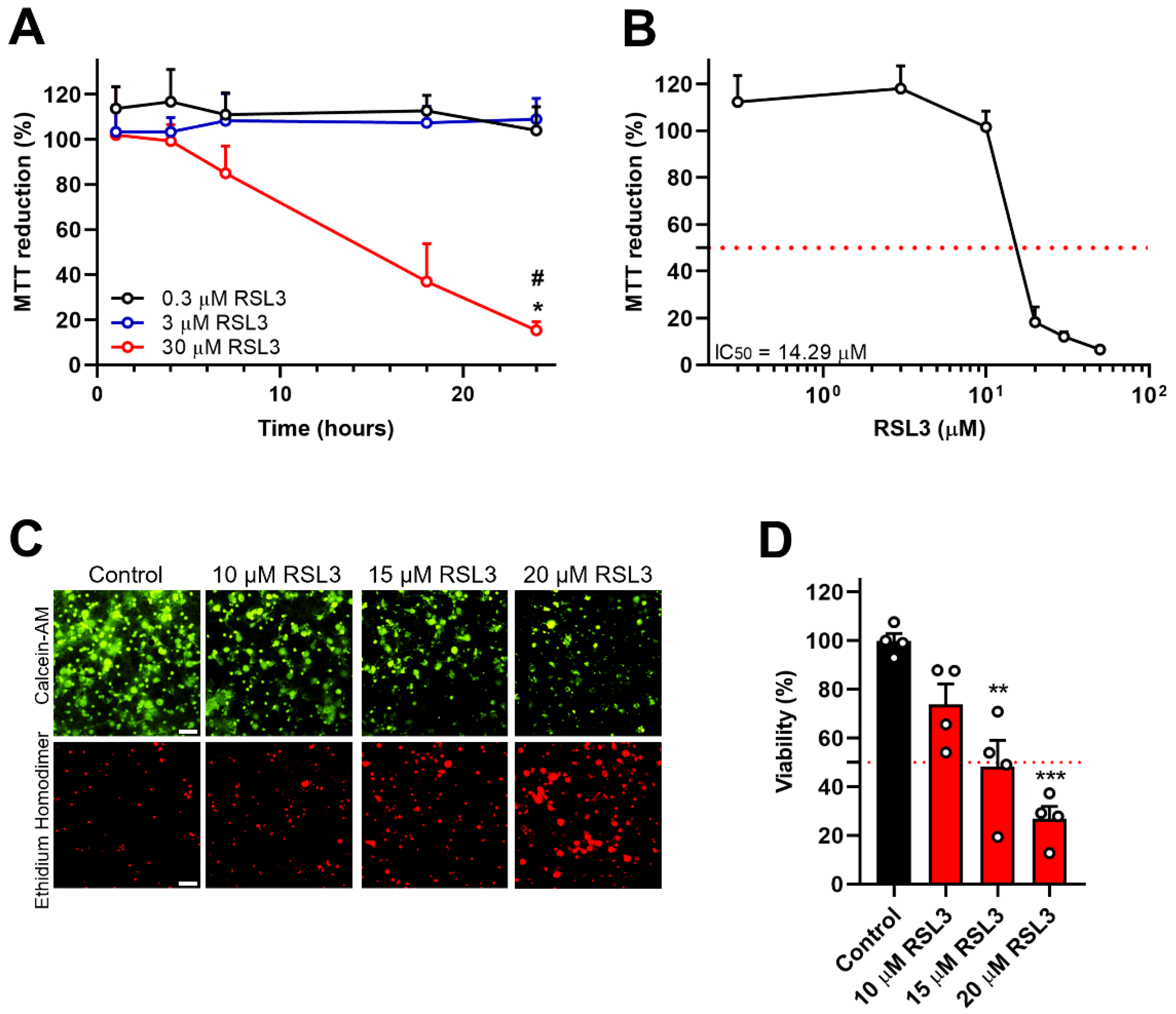 Antioxidants 12 00705 g001