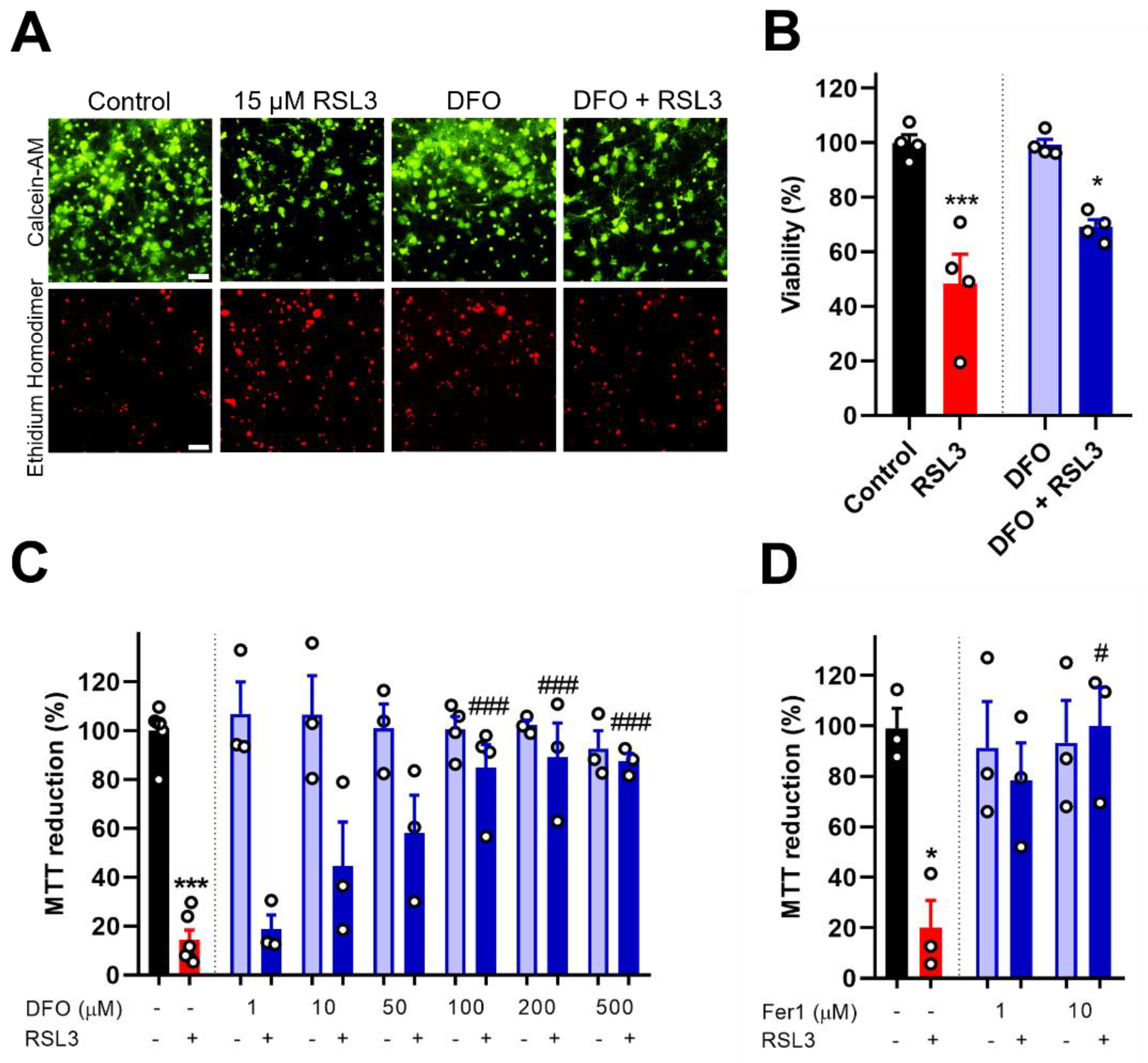 Antioxidants 12 00705 g002a