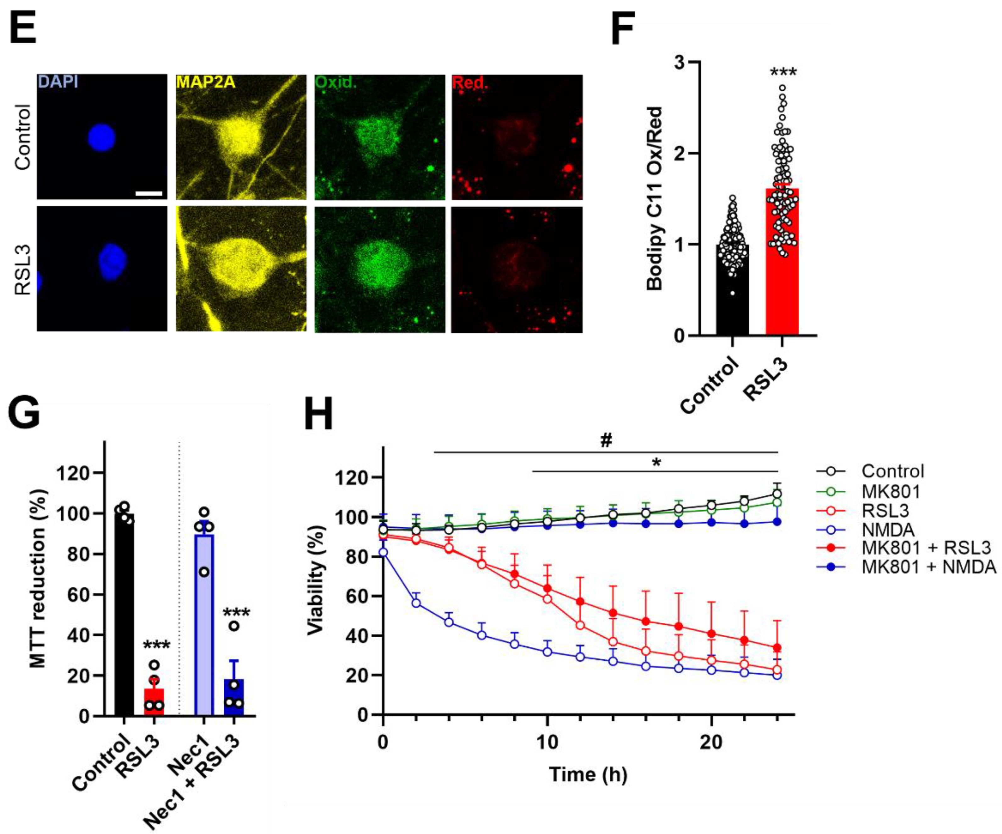 Antioxidants 12 00705 g002b