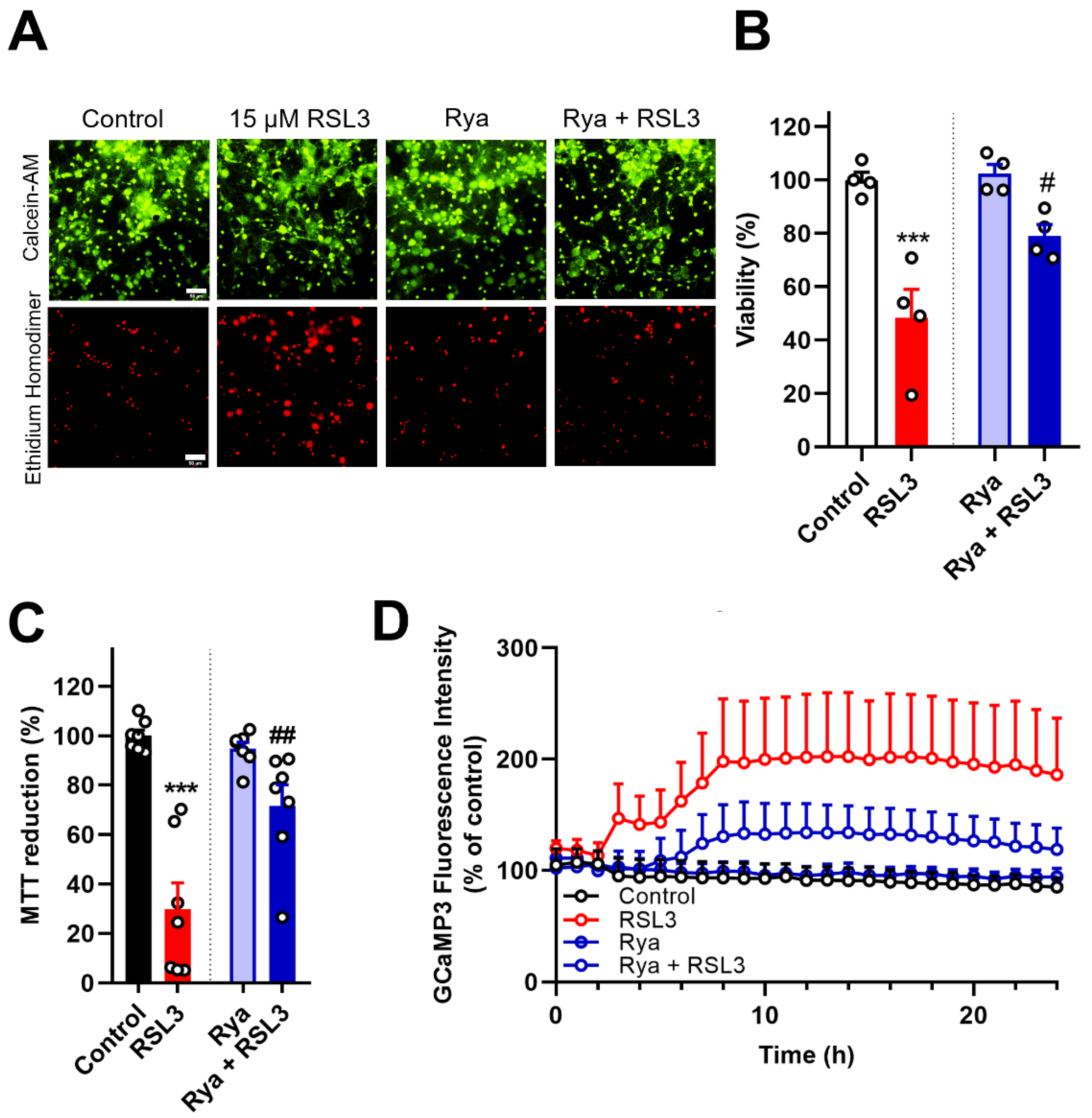 Antioxidants 12 00705 g005