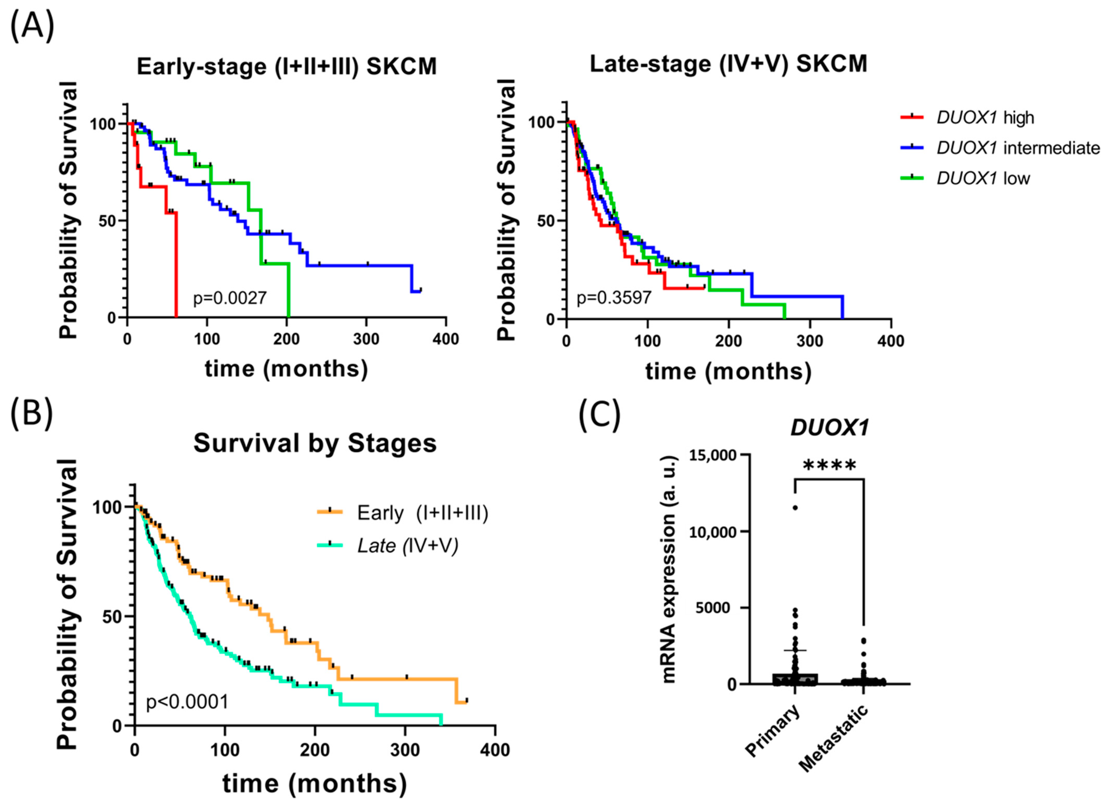 Antioxidants 12 00708 g001