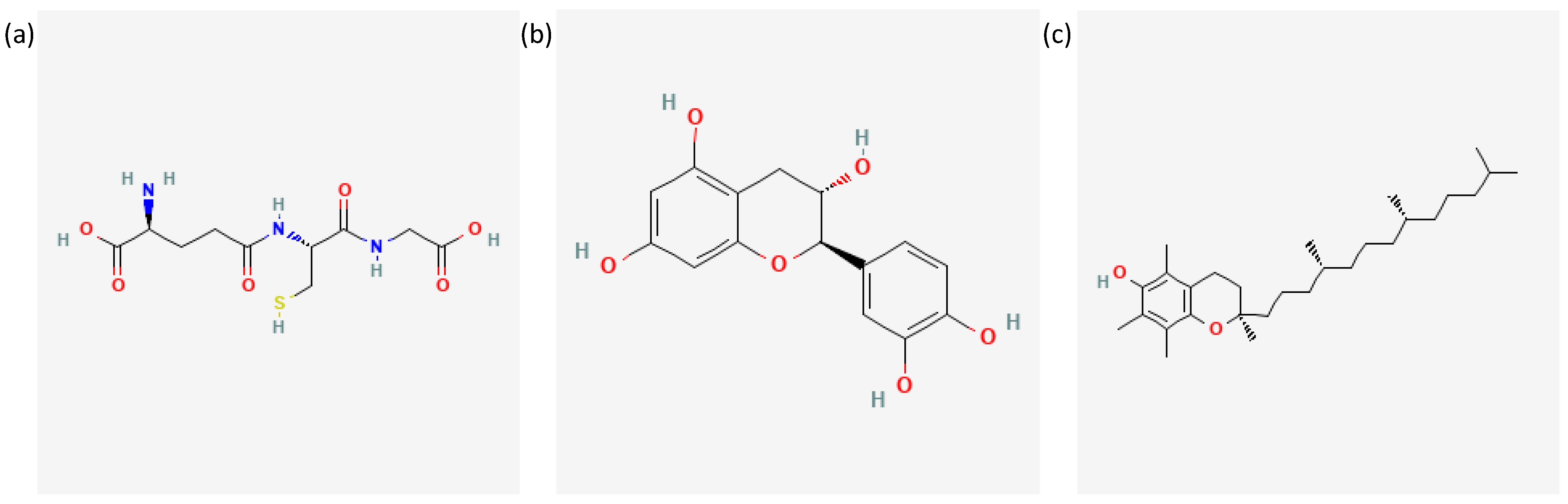 Antioxidants 12 00710 g002