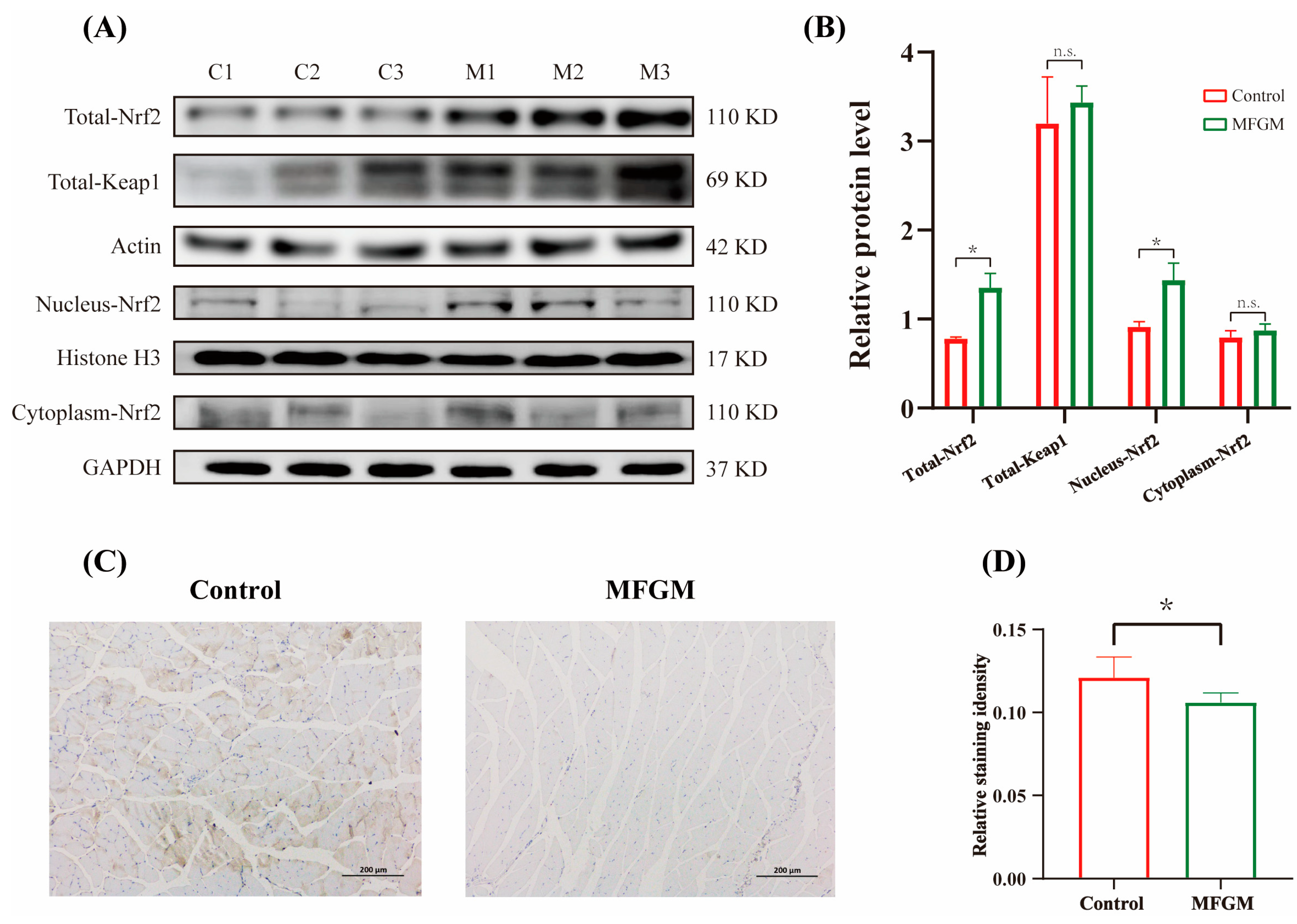 Antioxidants 12 00712 g004