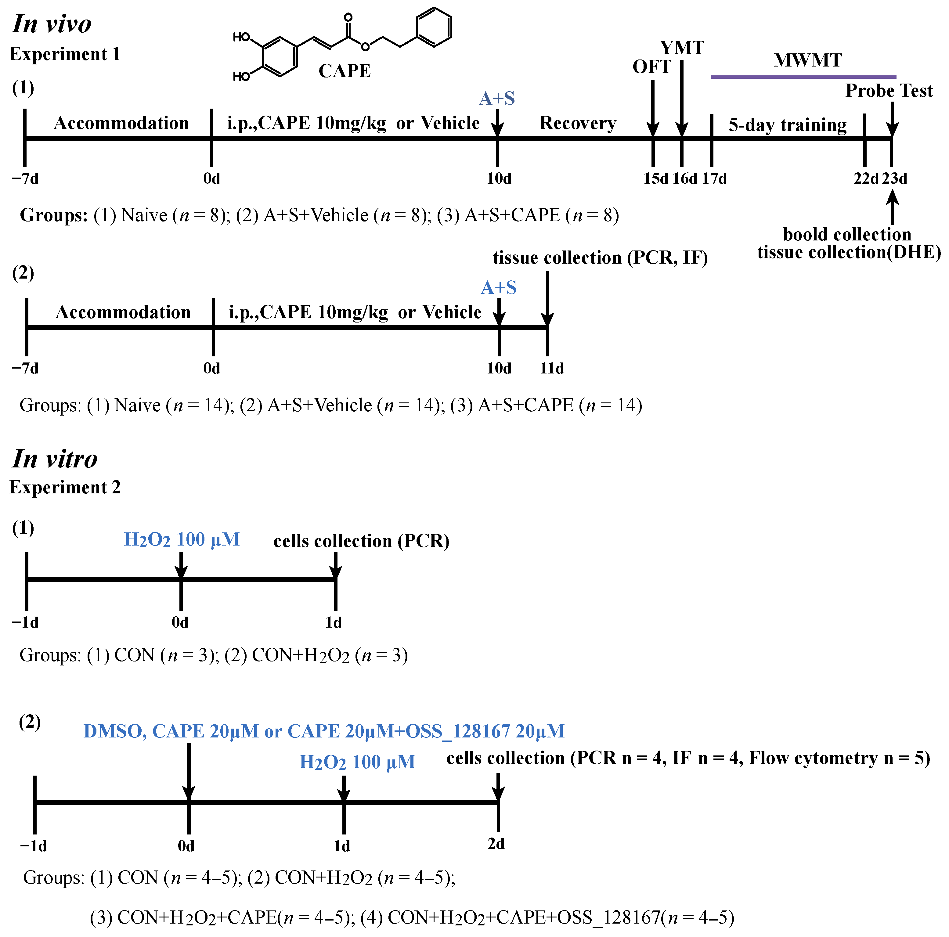 Antioxidants 12 00714 g001 Antioxidants 12 00714 g001