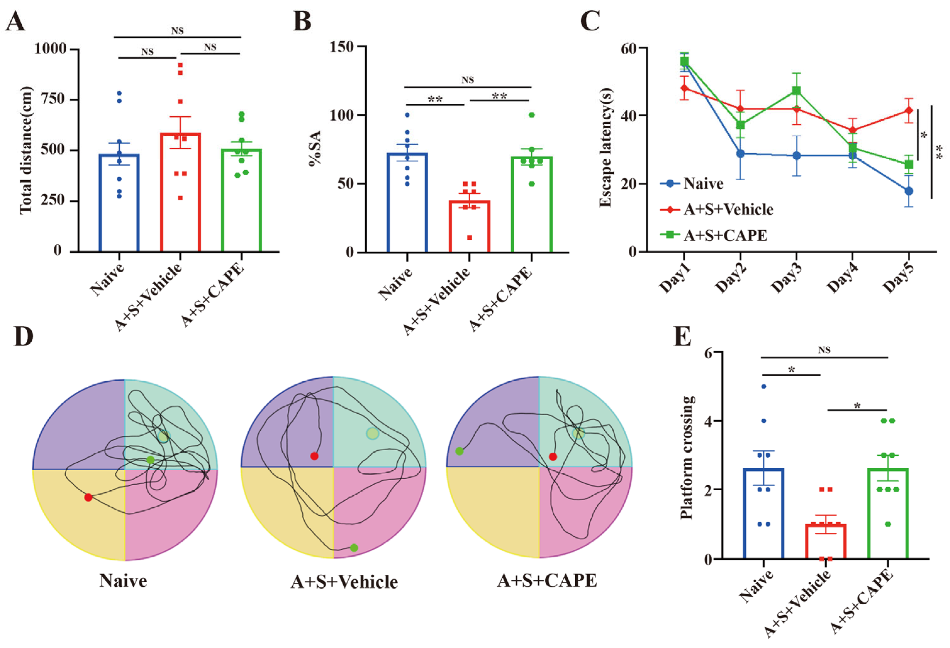 Antioxidants 12 00714 g002 Antioxidants 12 00714 g002