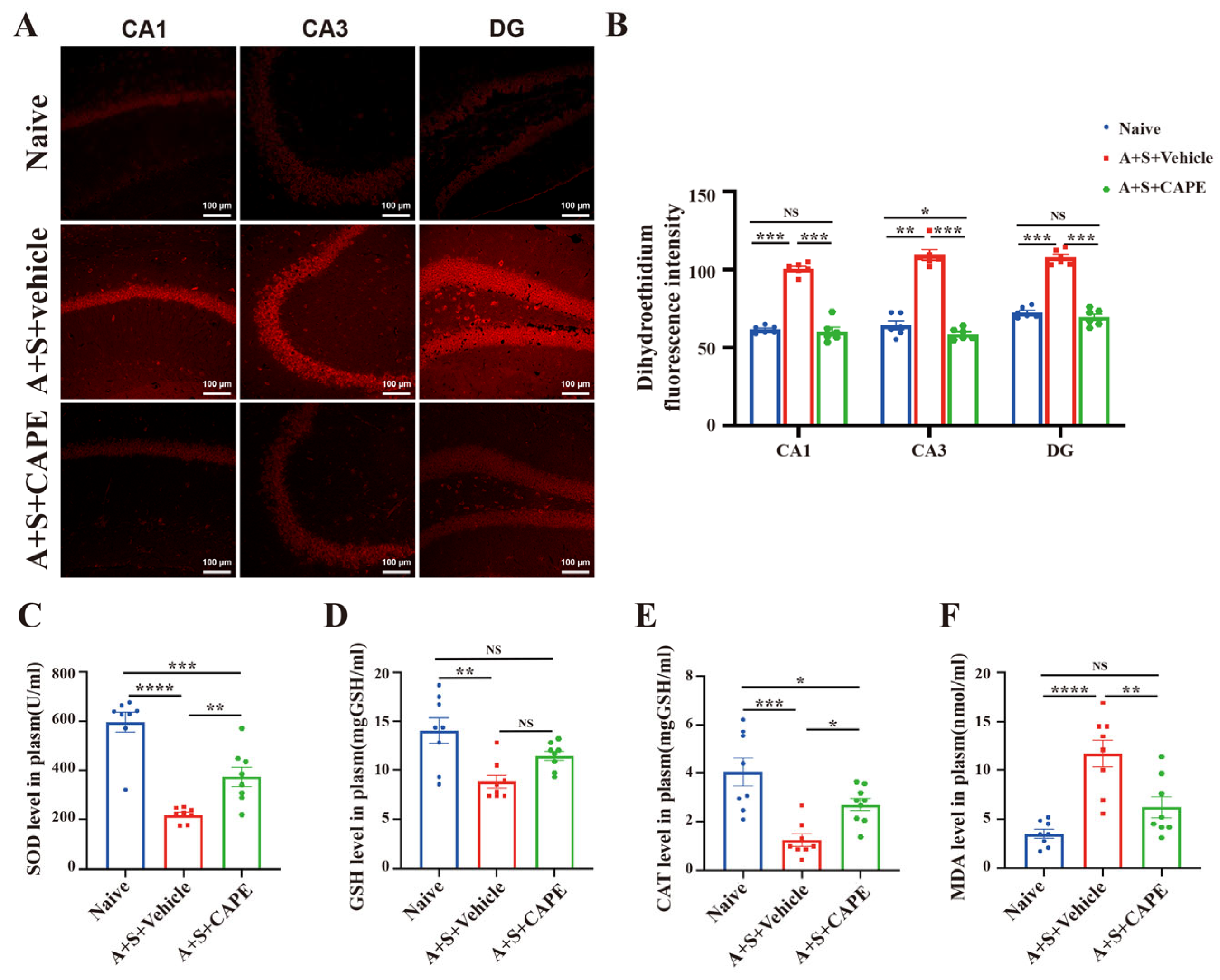 Antioxidants 12 00714 g003 Antioxidants 12 00714 g003