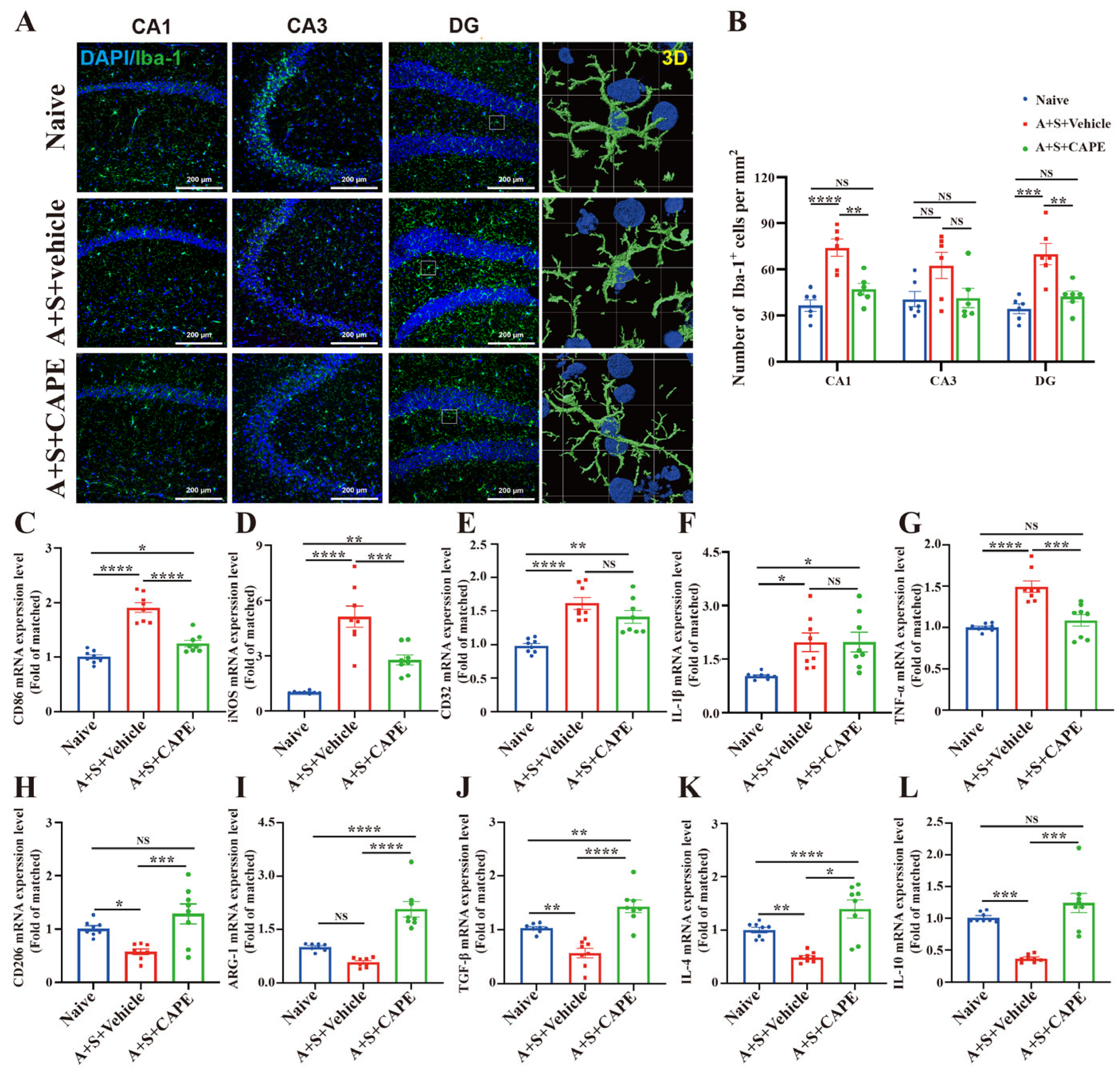 Antioxidants 12 00714 g004 Antioxidants 12 00714 g004