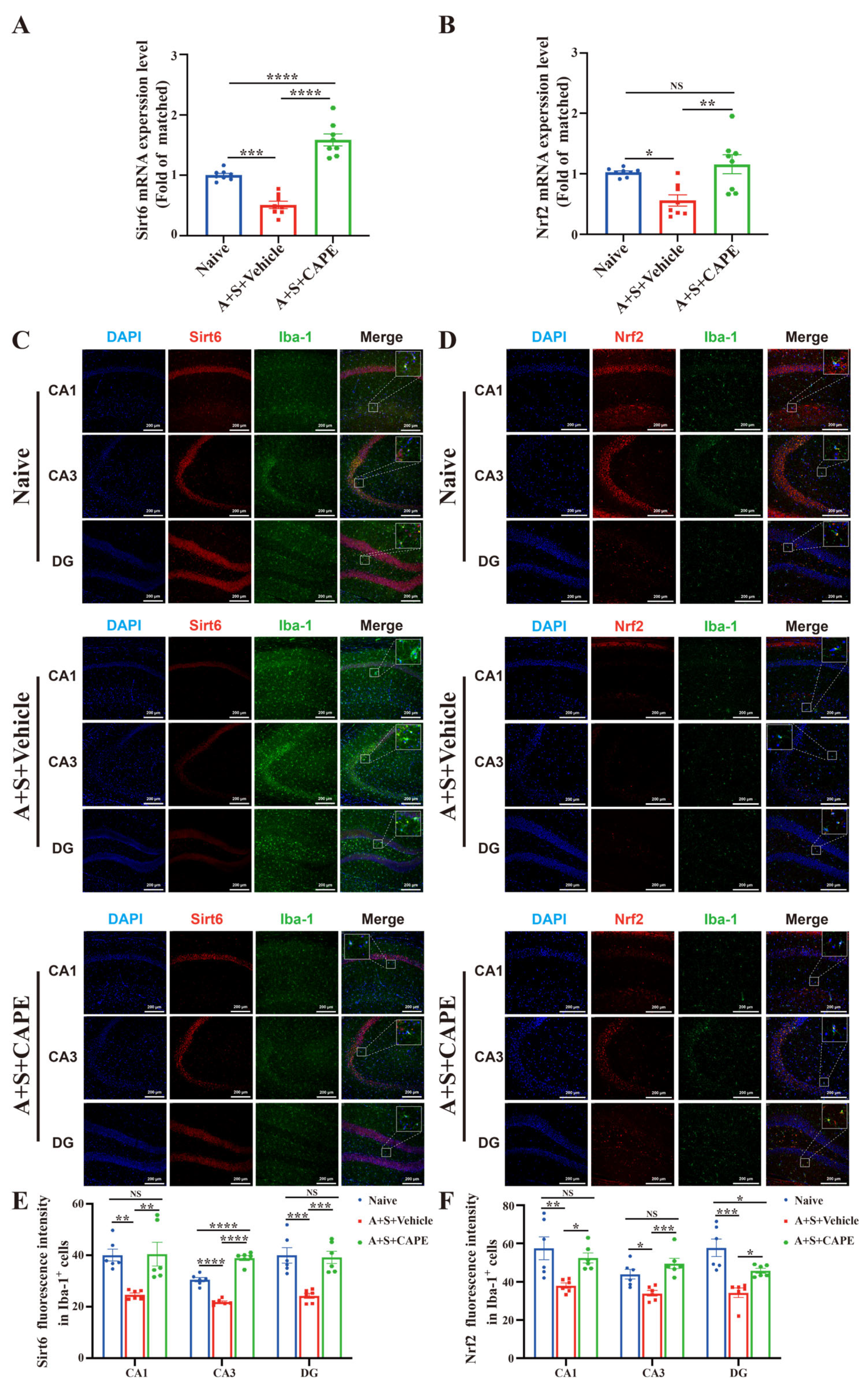 Antioxidants 12 00714 g005 Antioxidants 12 00714 g005