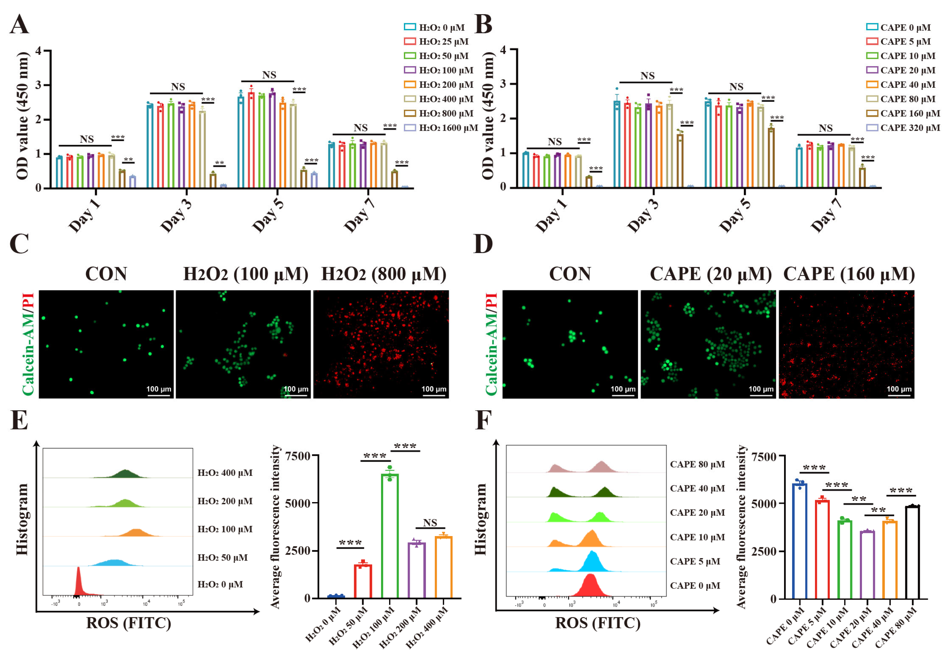 Antioxidants 12 00714 g006 Antioxidants 12 00714 g006