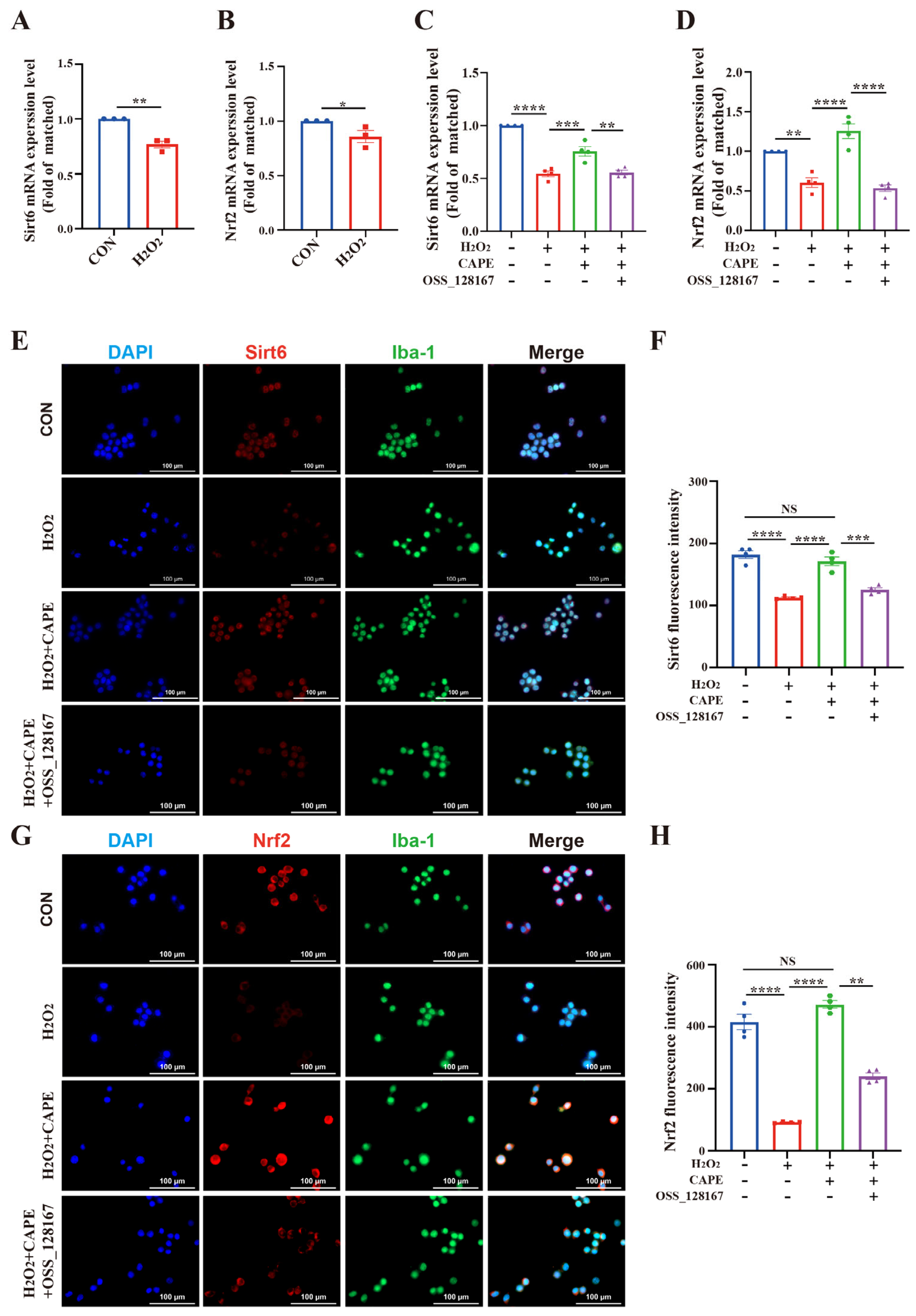 Antioxidants 12 00714 g007 Antioxidants 12 00714 g007