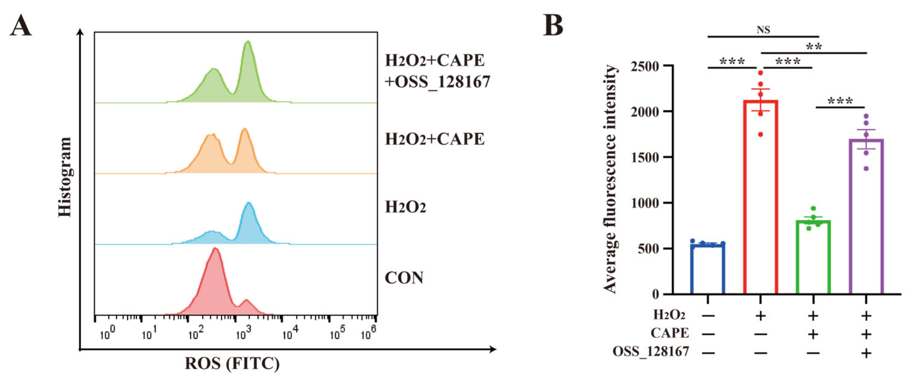 Antioxidants 12 00714 g008 Antioxidants 12 00714 g008