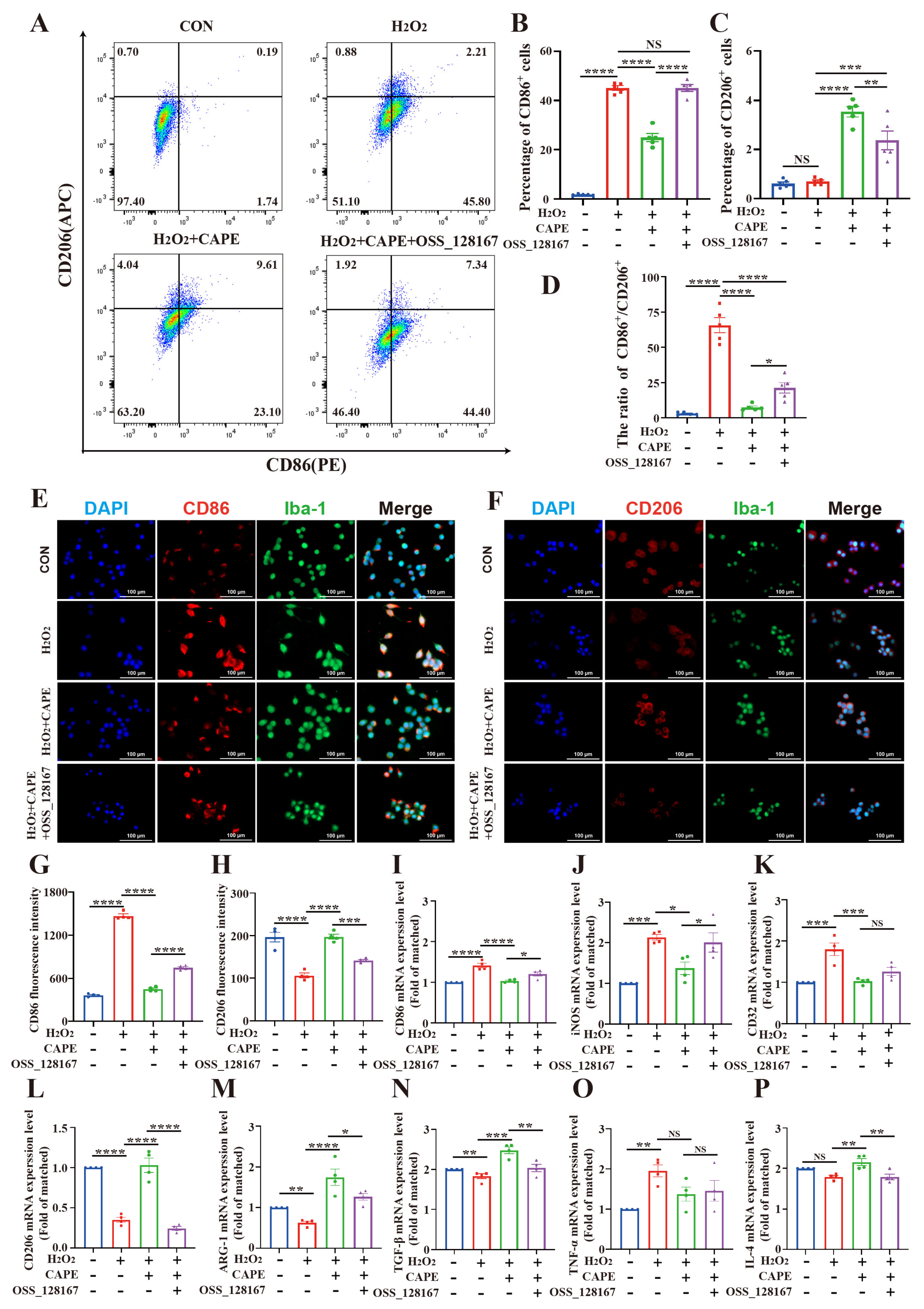 Antioxidants 12 00714 g009 Antioxidants 12 00714 g009