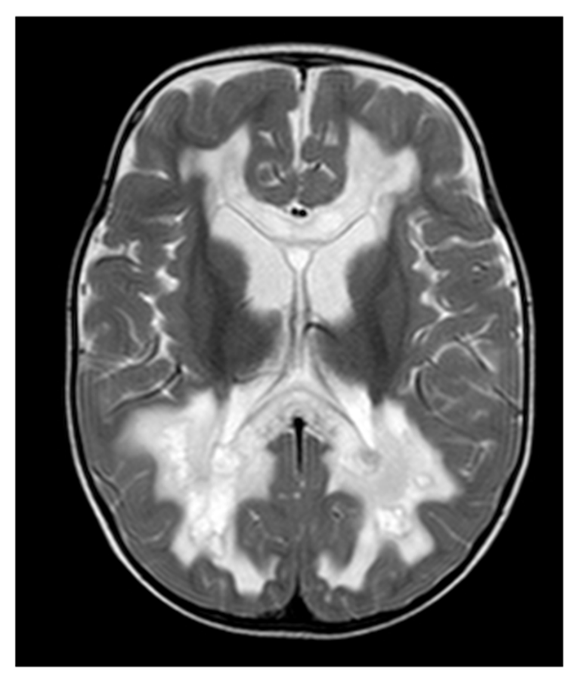 Antioxidants 12 00718 g002
