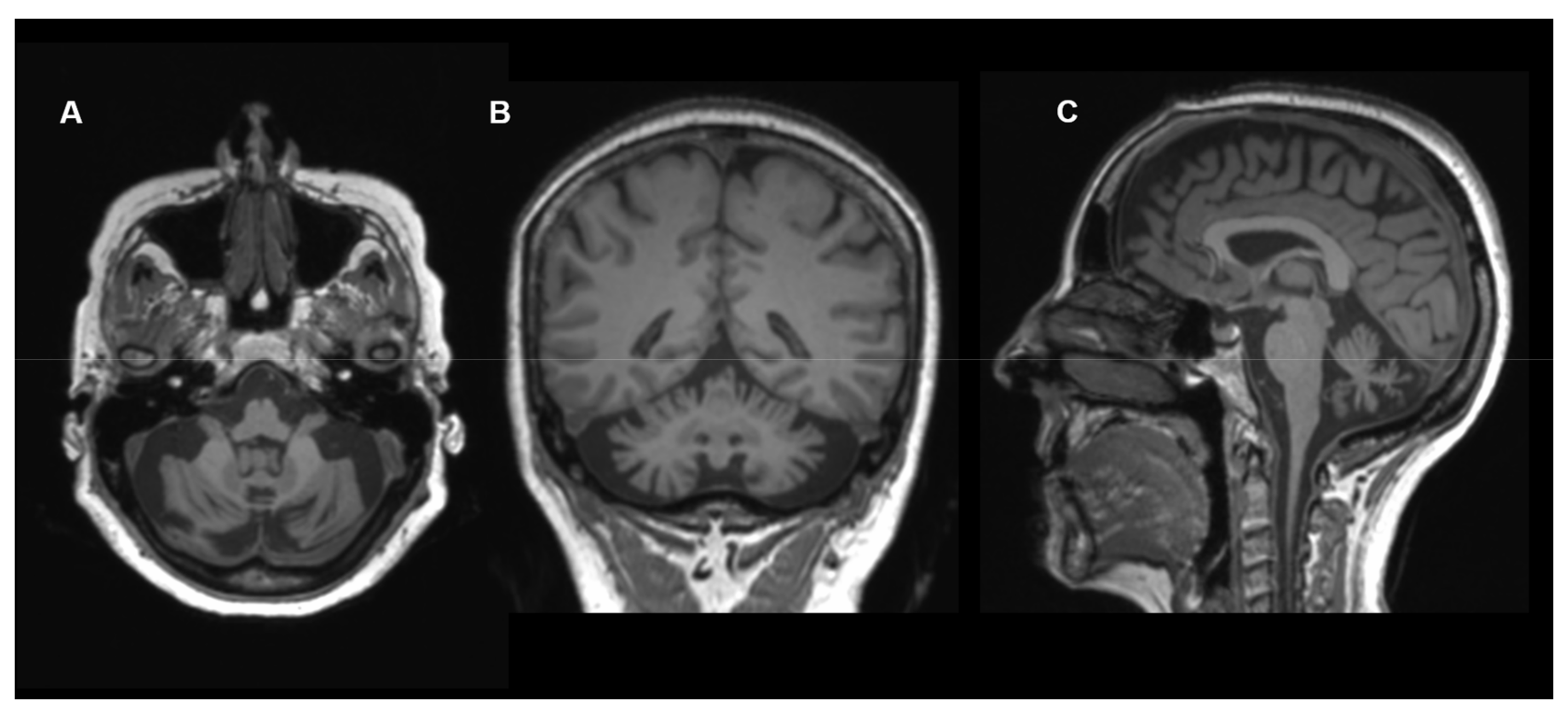 Antioxidants 12 00718 g005