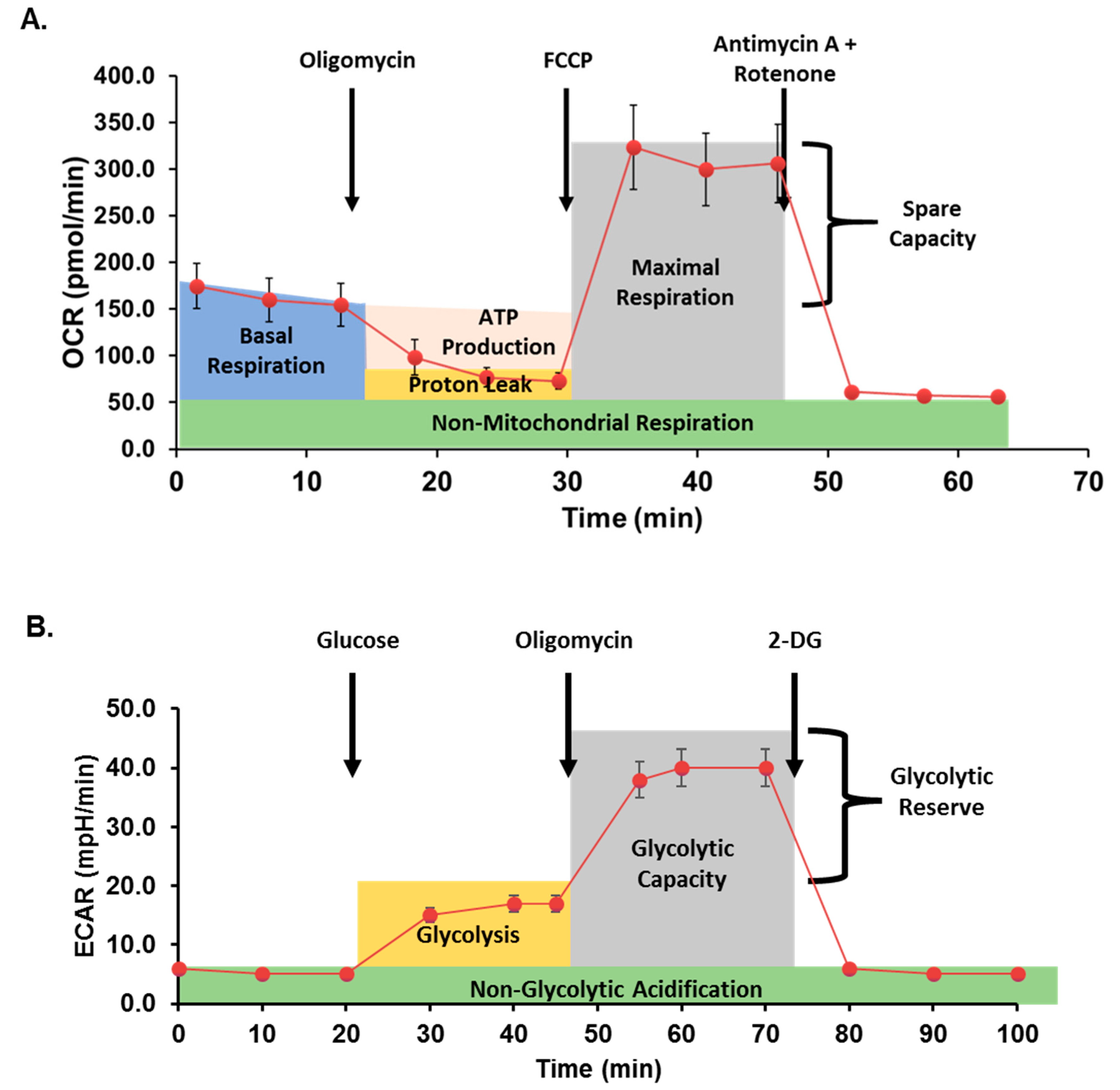 Antioxidants 12 00719 g002