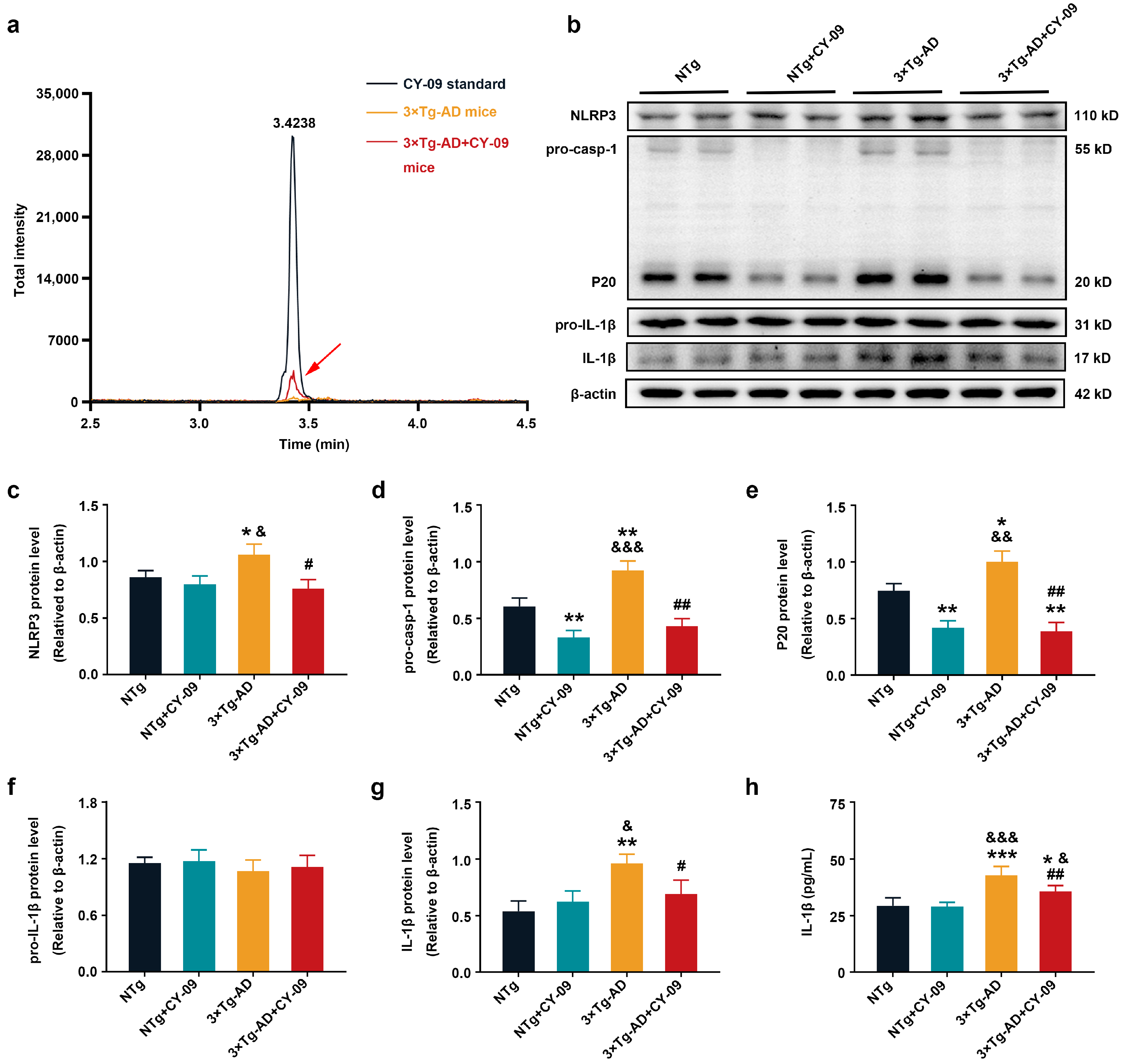 Antioxidants 12 00722 g001
