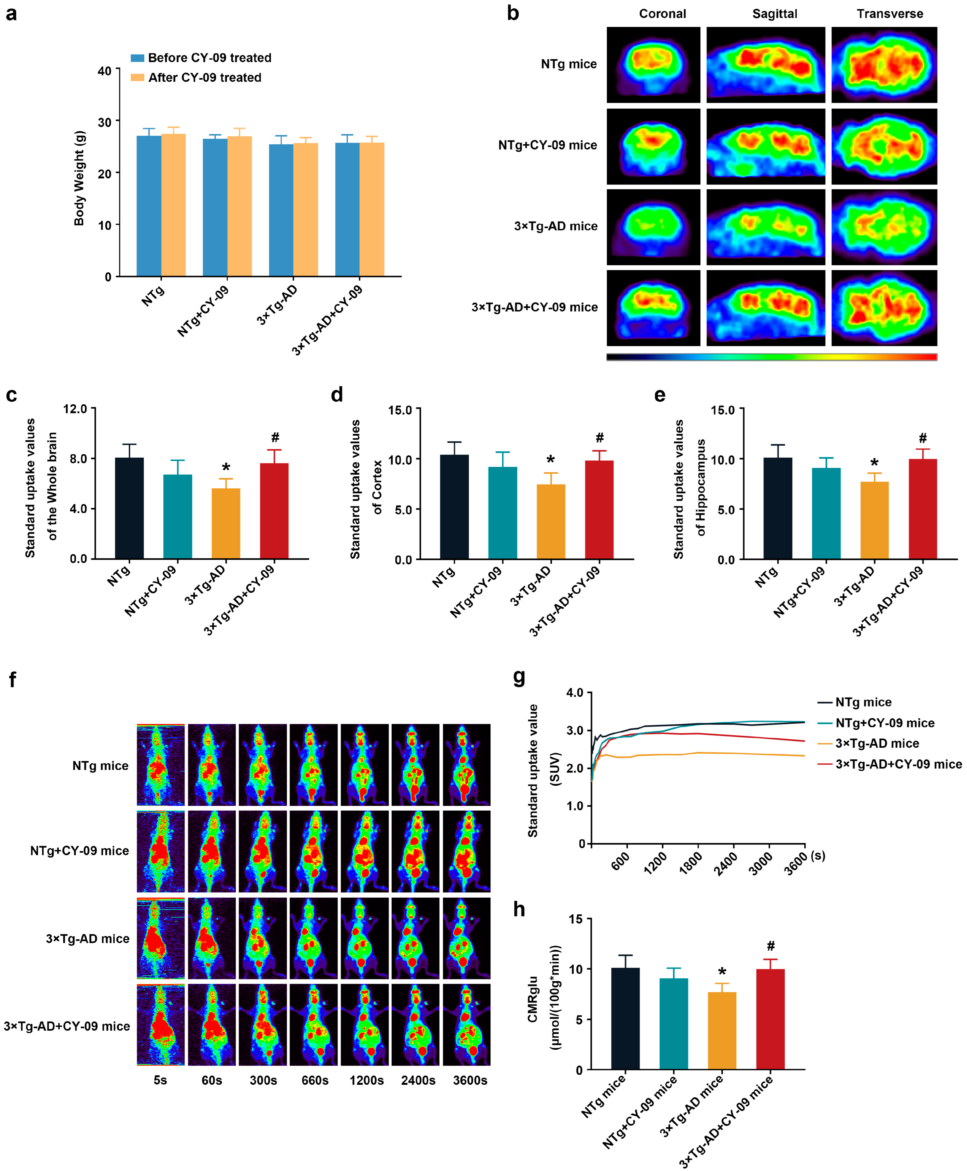 Antioxidants 12 00722 g002