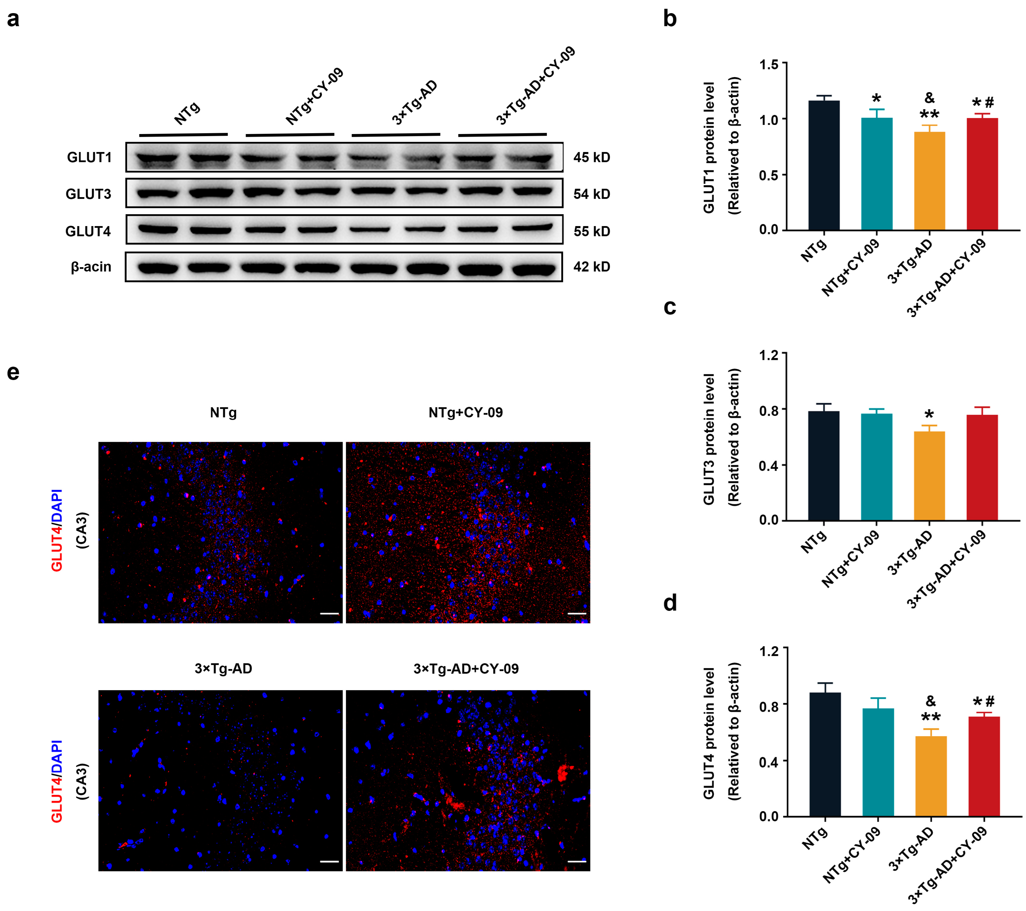 Antioxidants 12 00722 g003