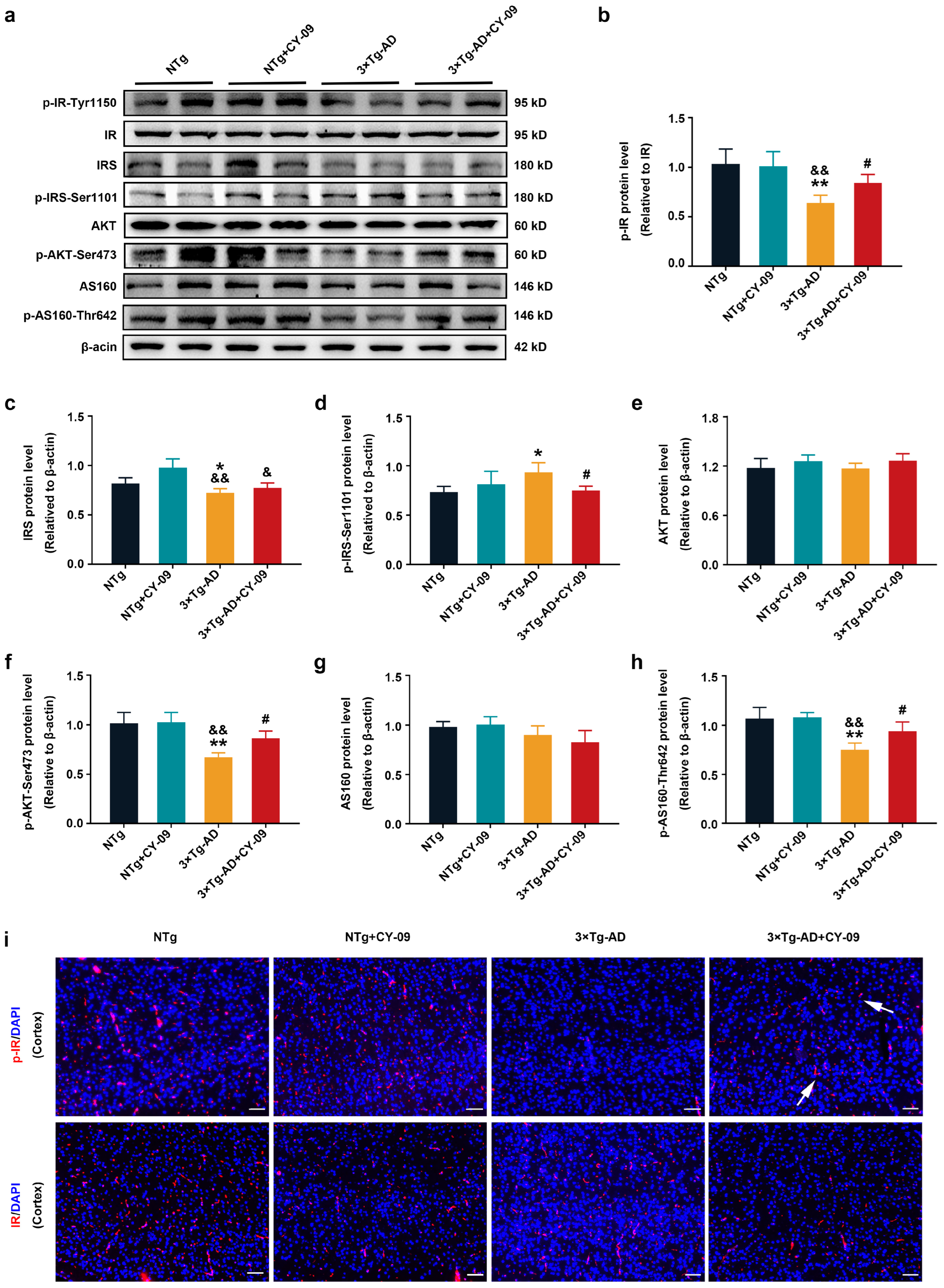 Antioxidants 12 00722 g005
