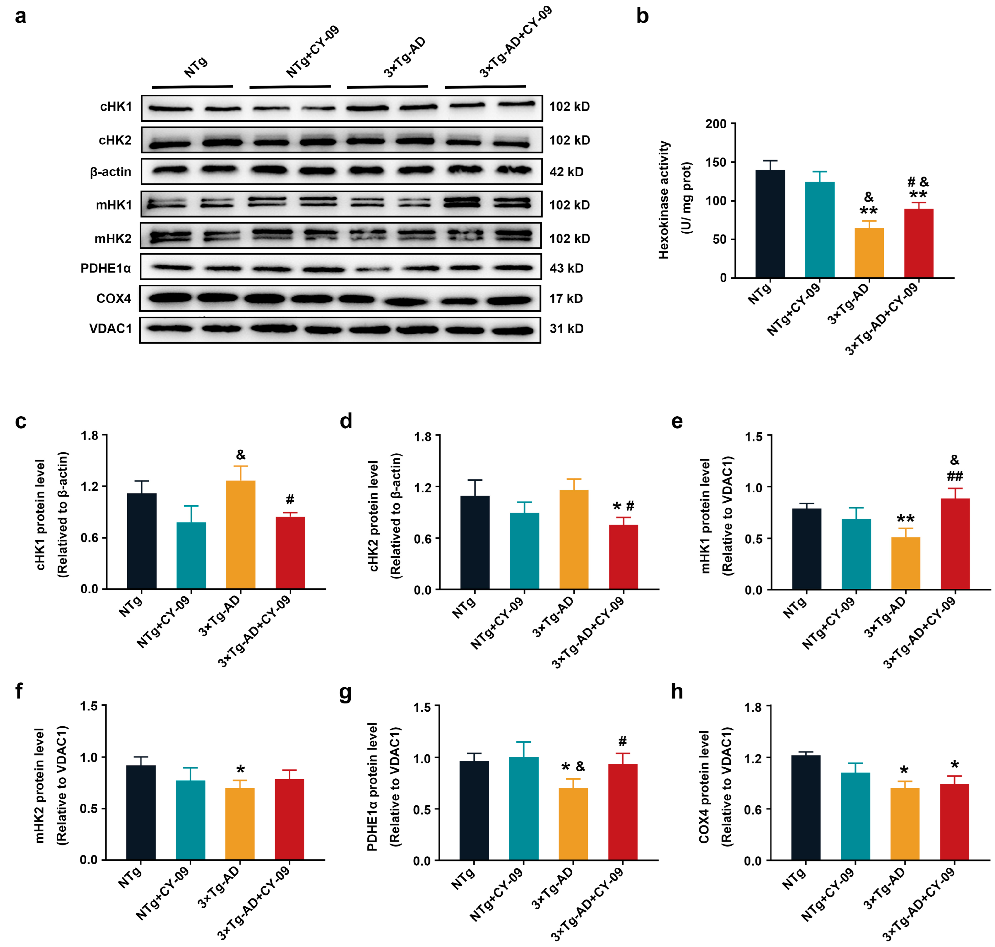 Antioxidants 12 00722 g006