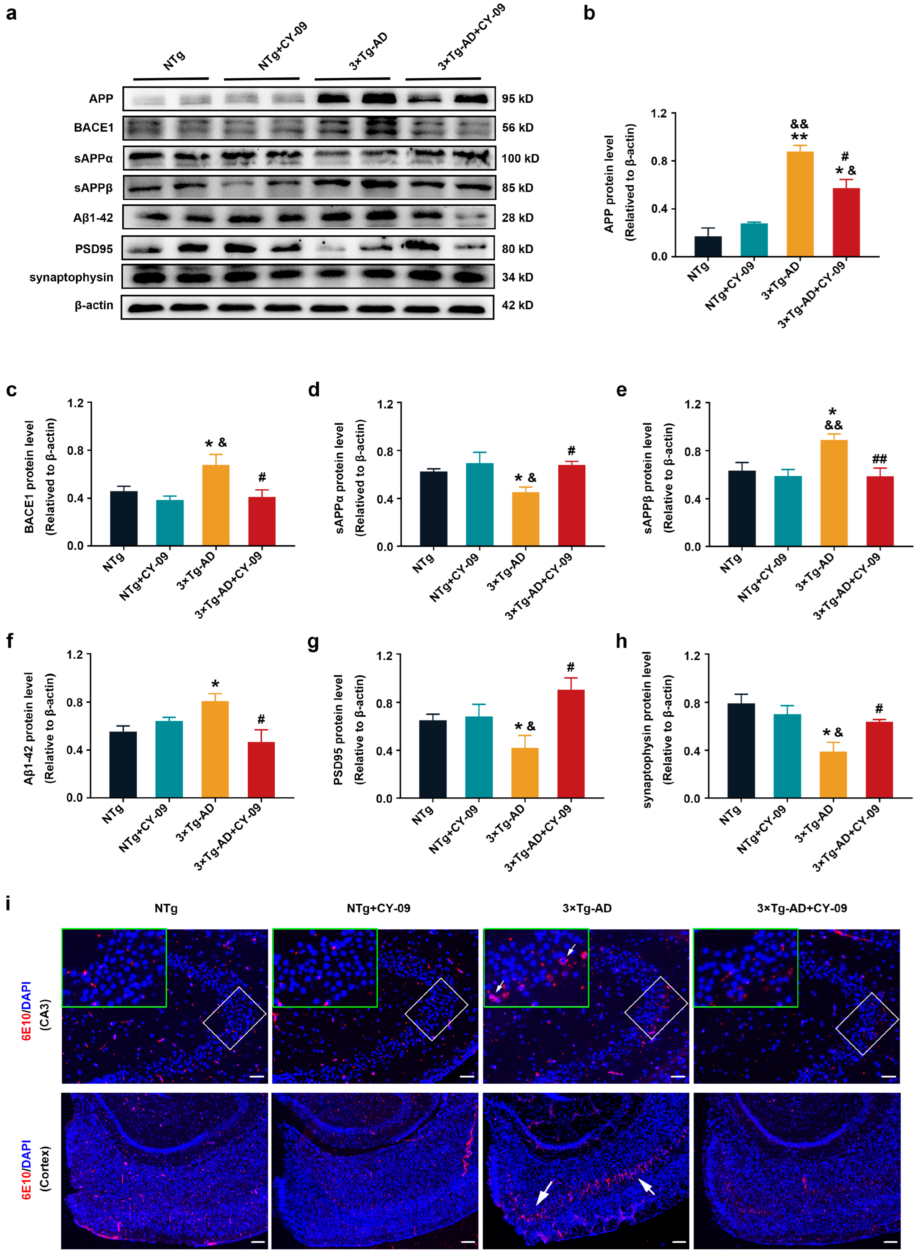 Antioxidants 12 00722 g008