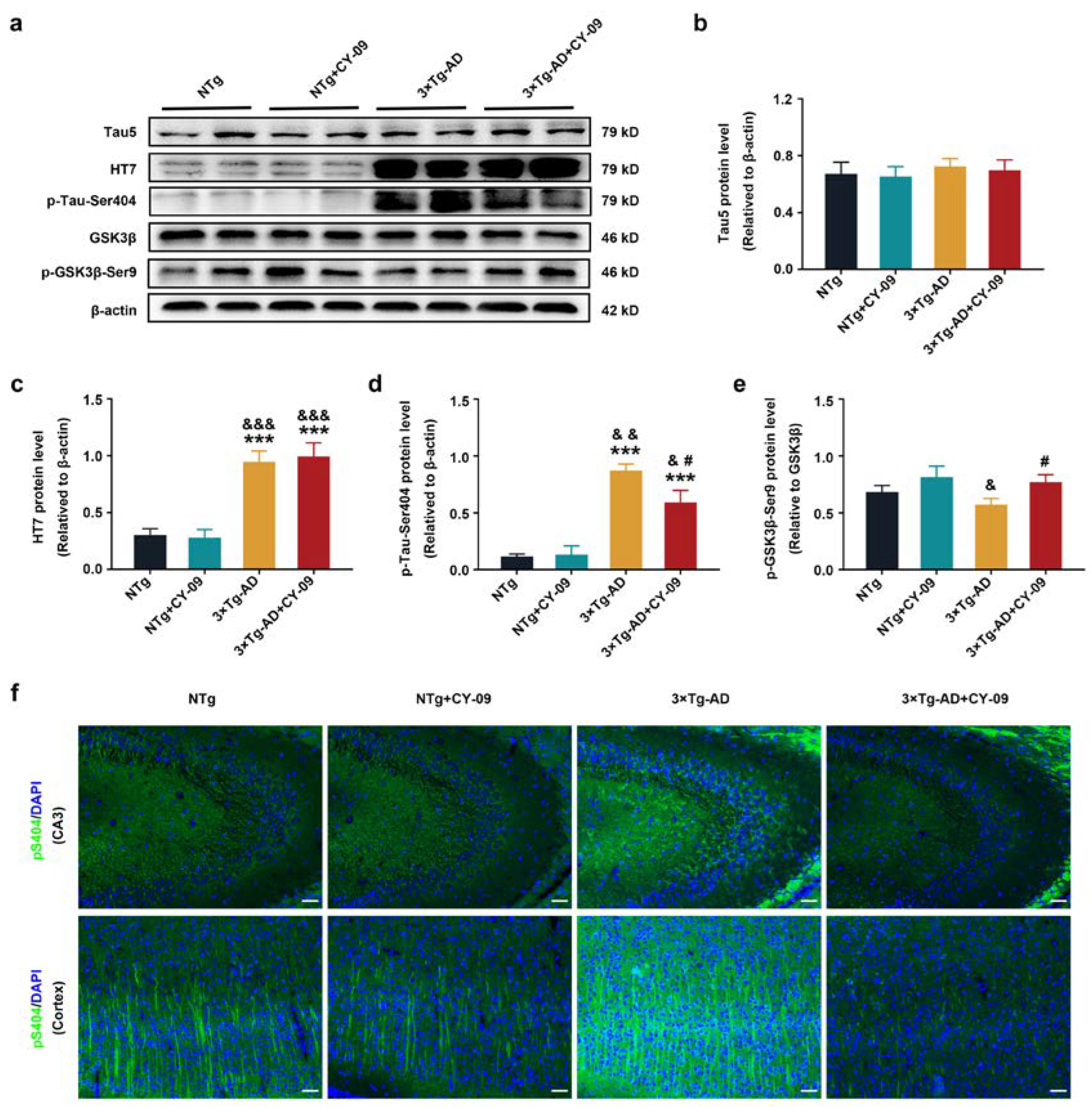 Antioxidants 12 00722 g009