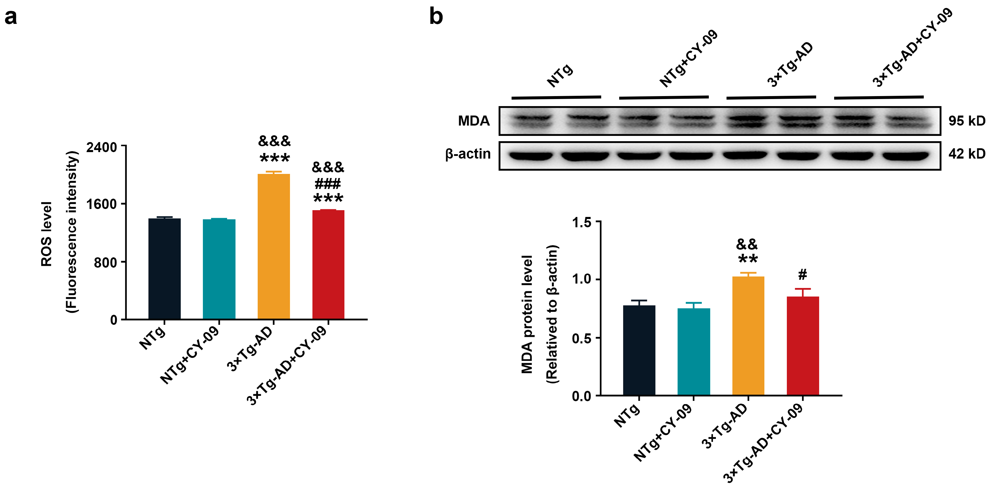 Antioxidants 12 00722 g010