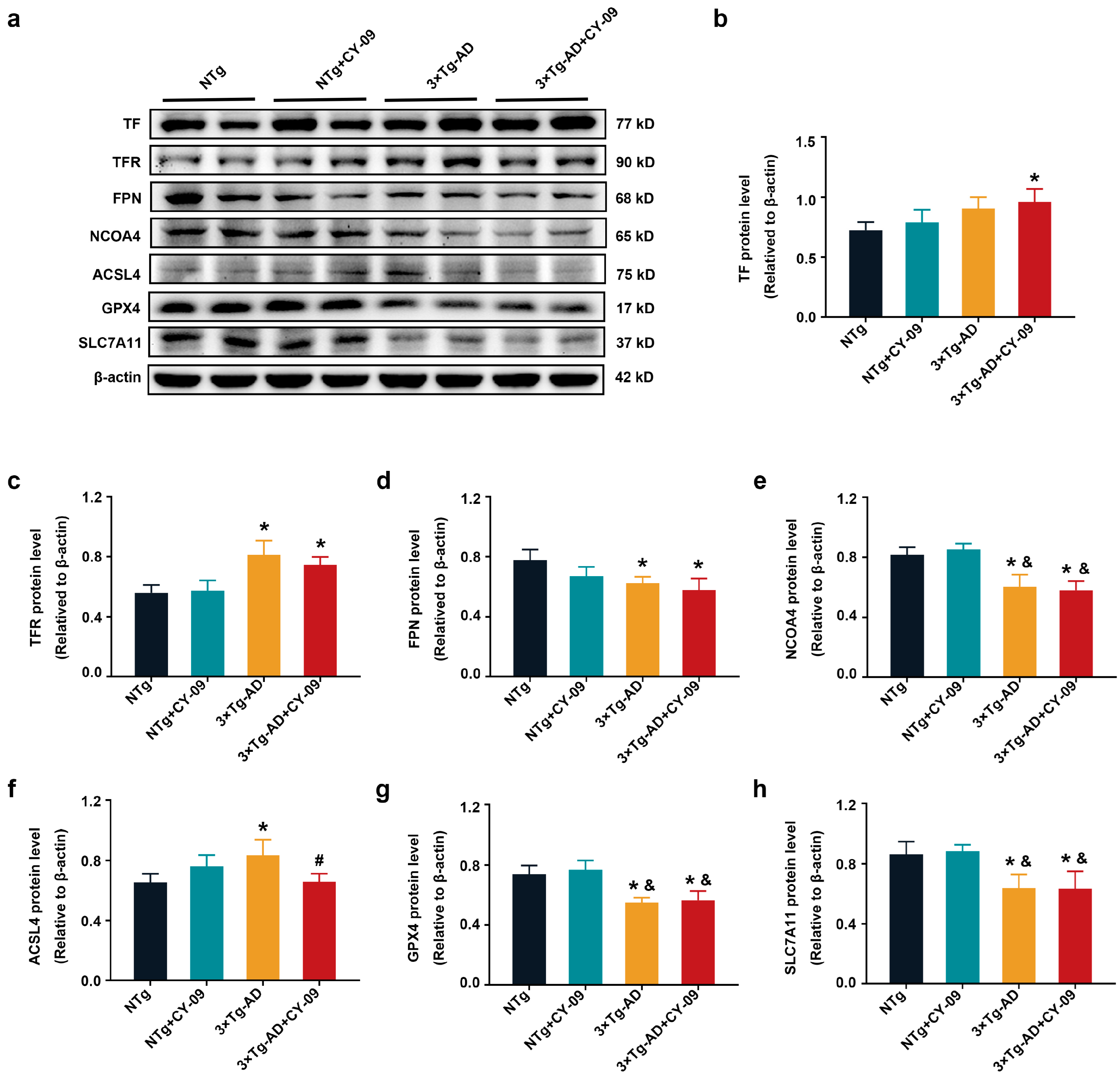 Antioxidants 12 00722 g011