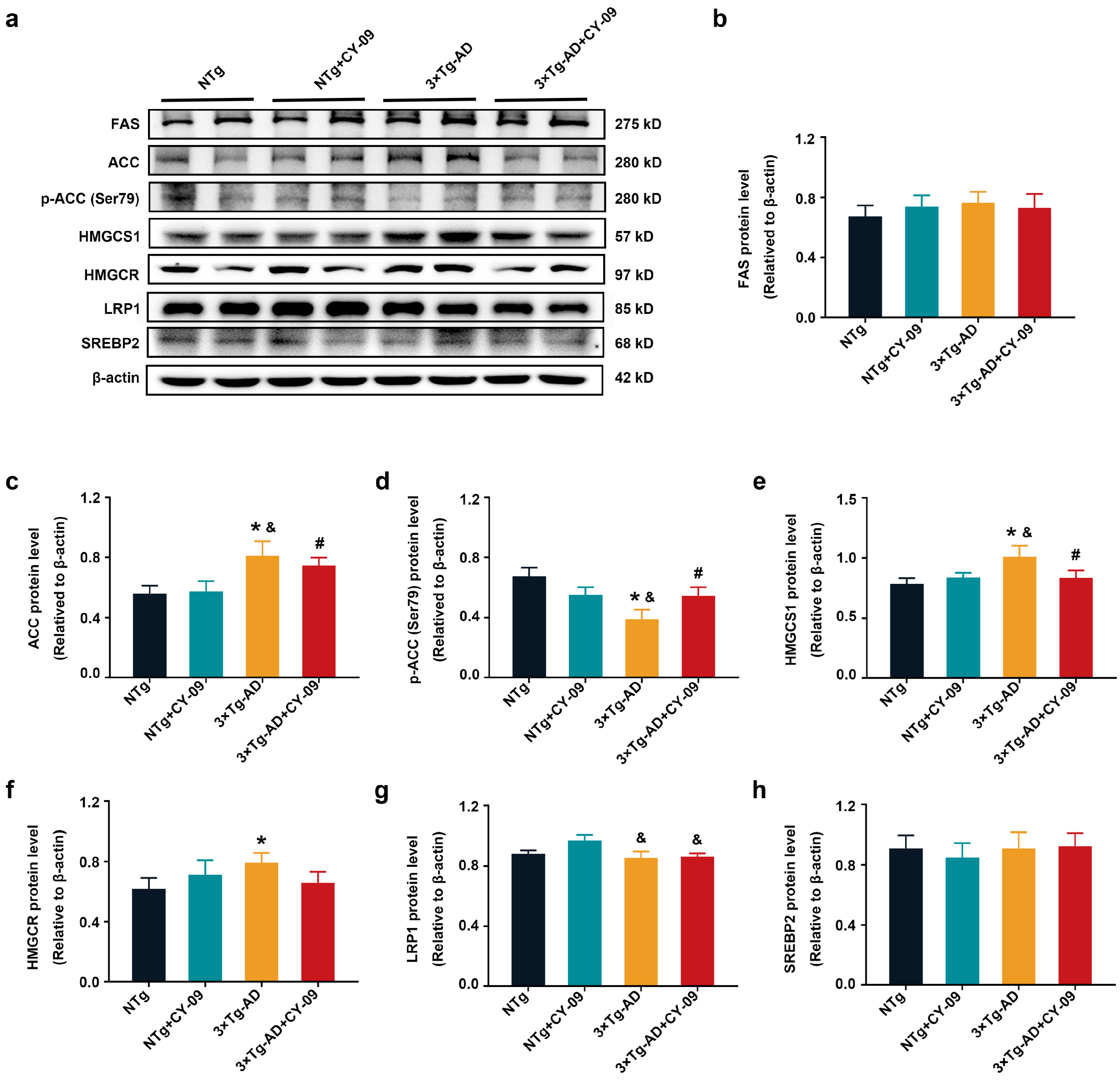 Antioxidants 12 00722 g012