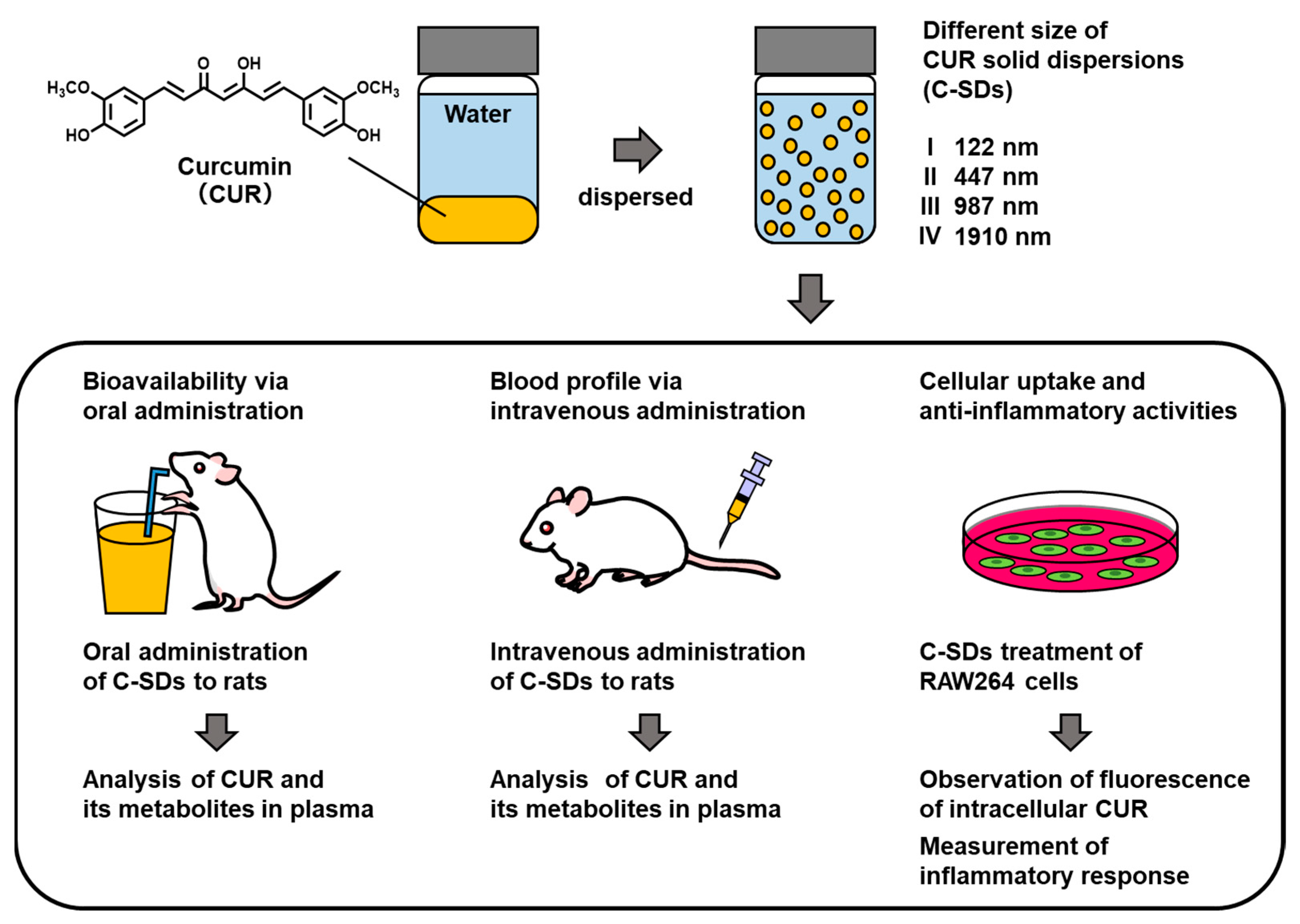 Antioxidants 12 00724 g001