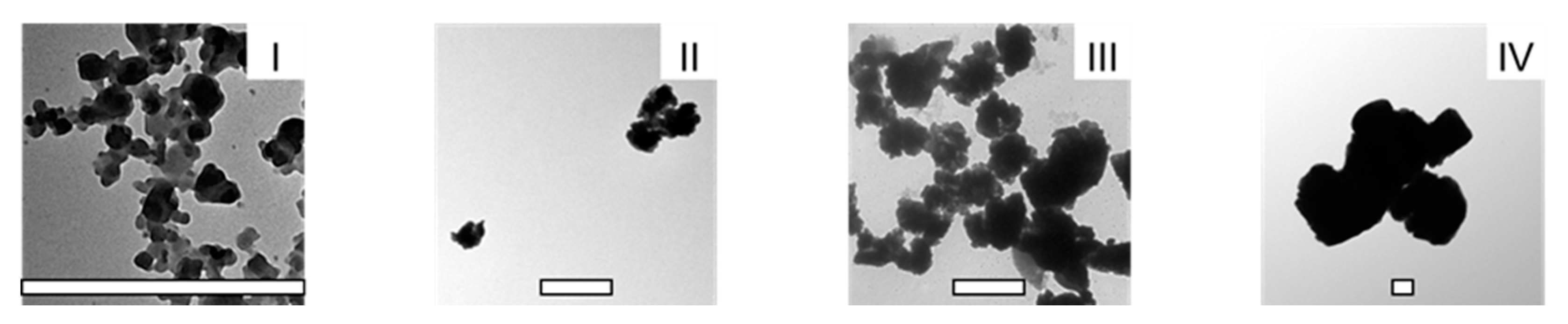 Antioxidants 12 00724 g002