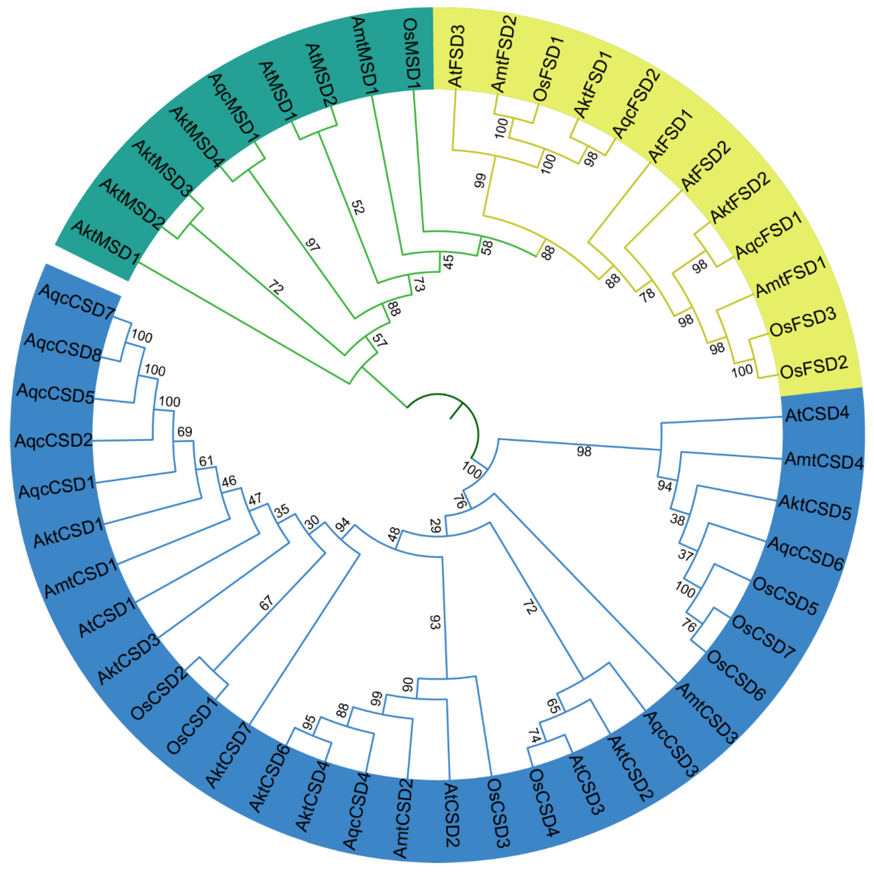 Antioxidants 12 00726 g001