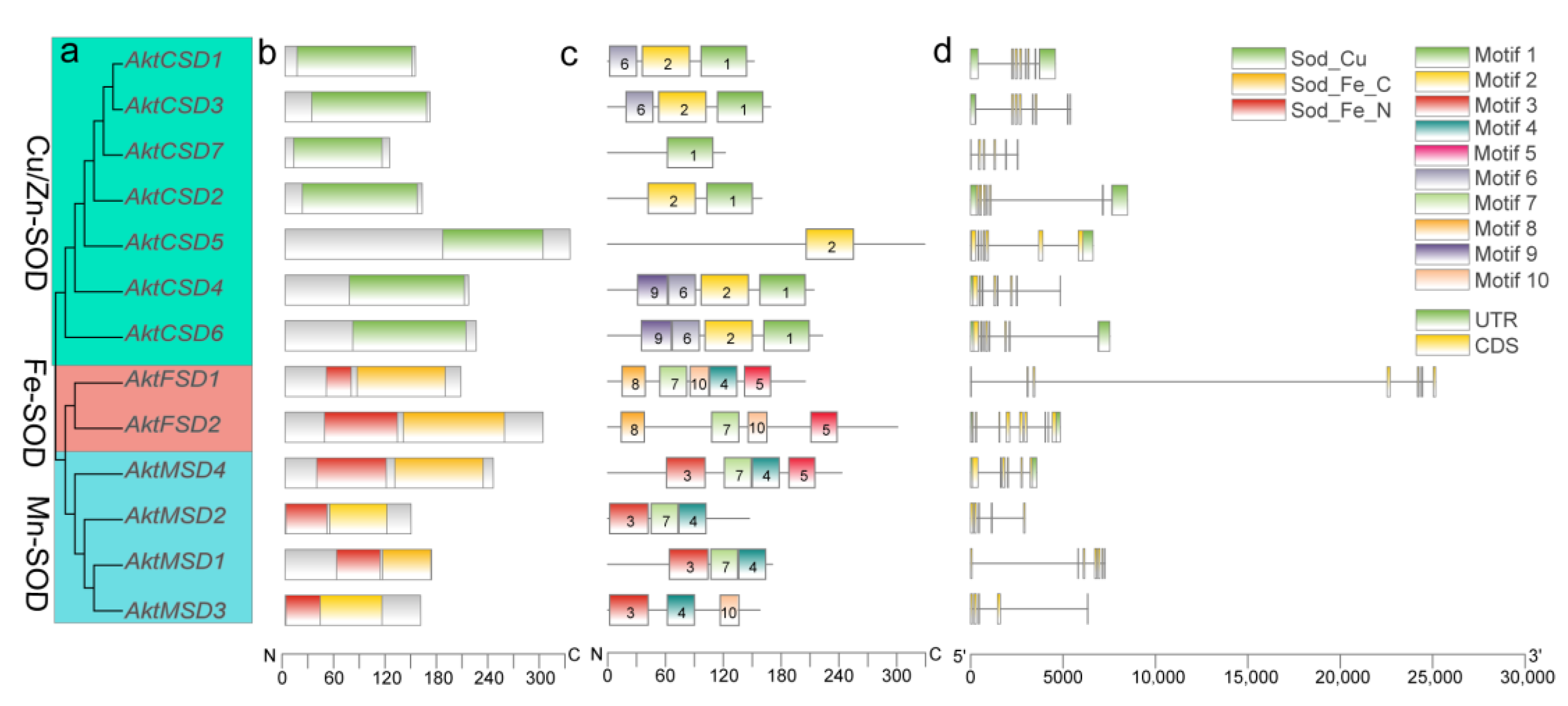 Antioxidants 12 00726 g002