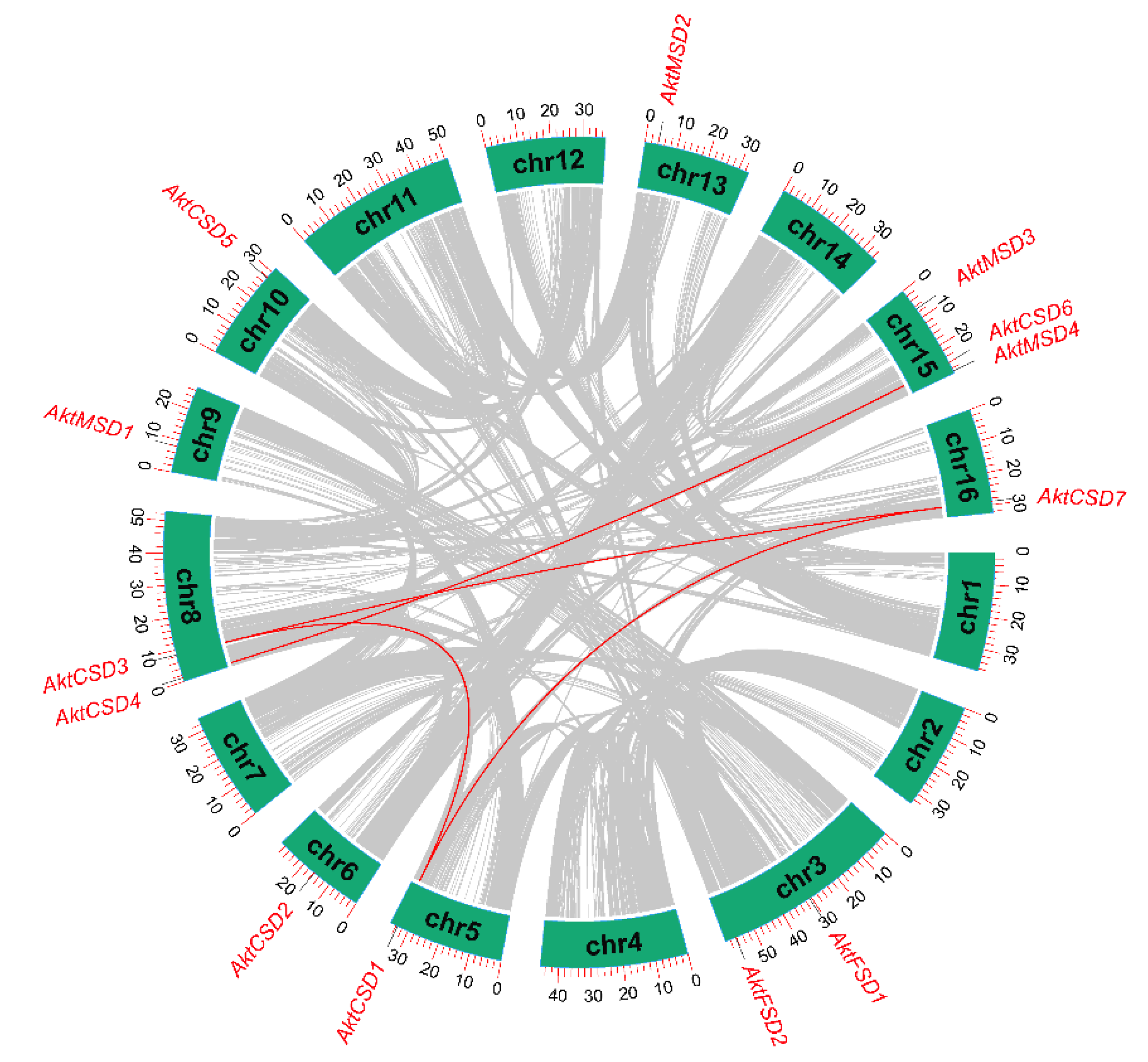 Antioxidants 12 00726 g003