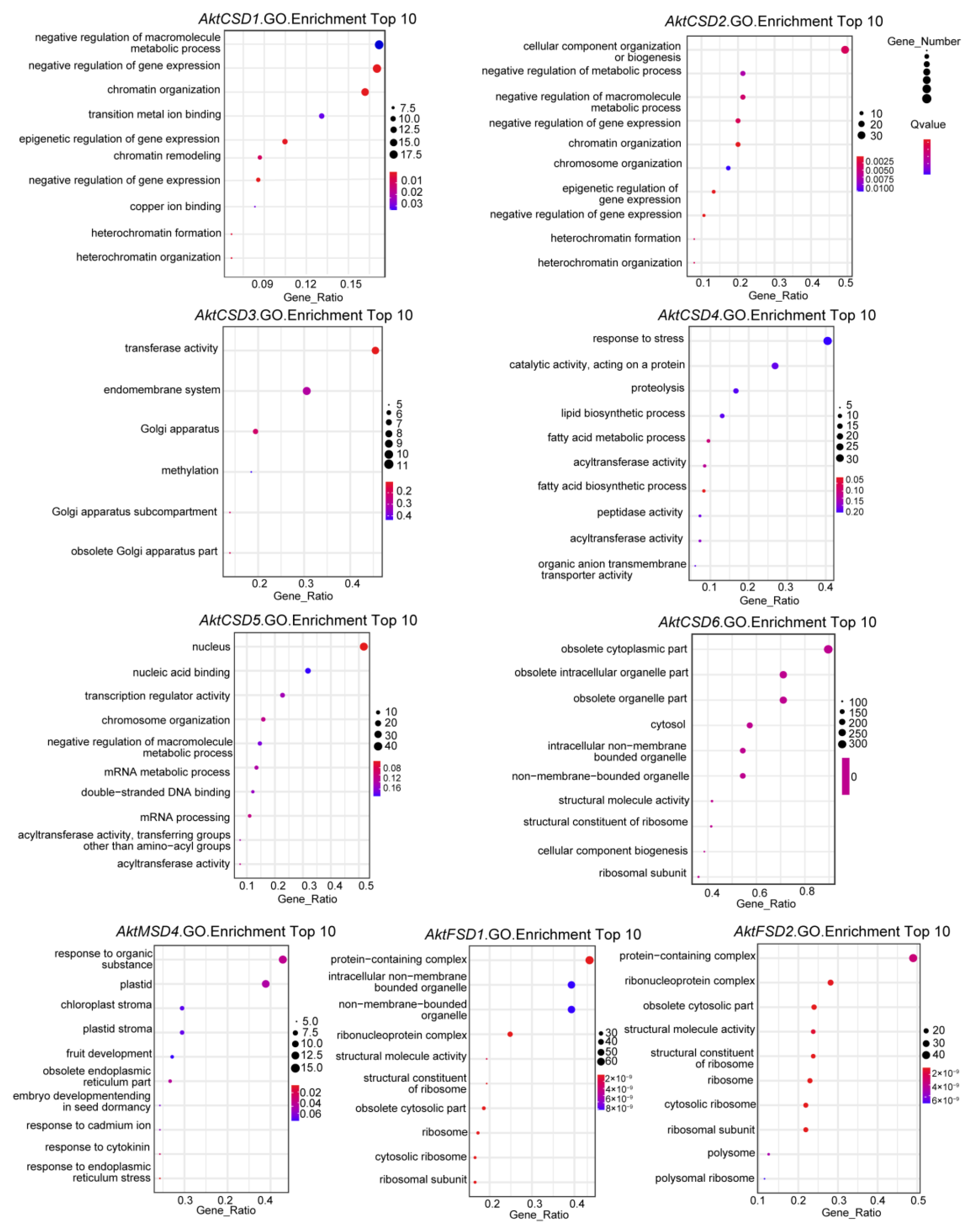 Antioxidants 12 00726 g006