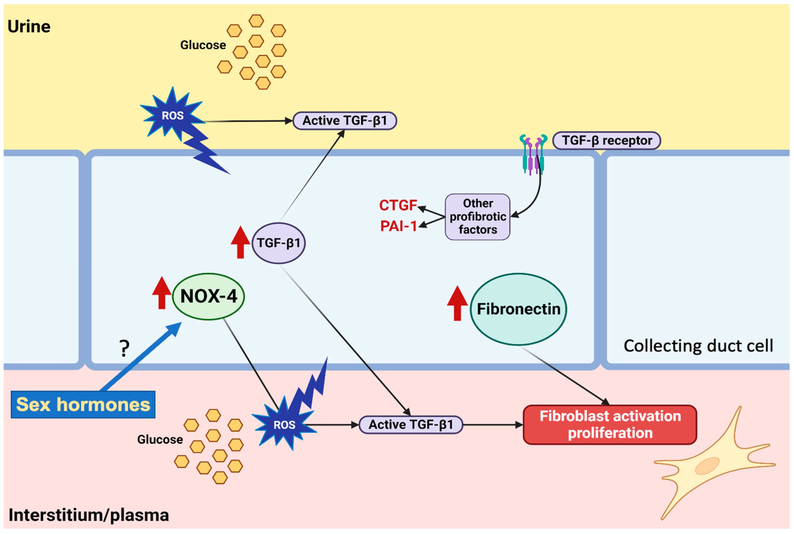 Antioxidants 12 00729 g010