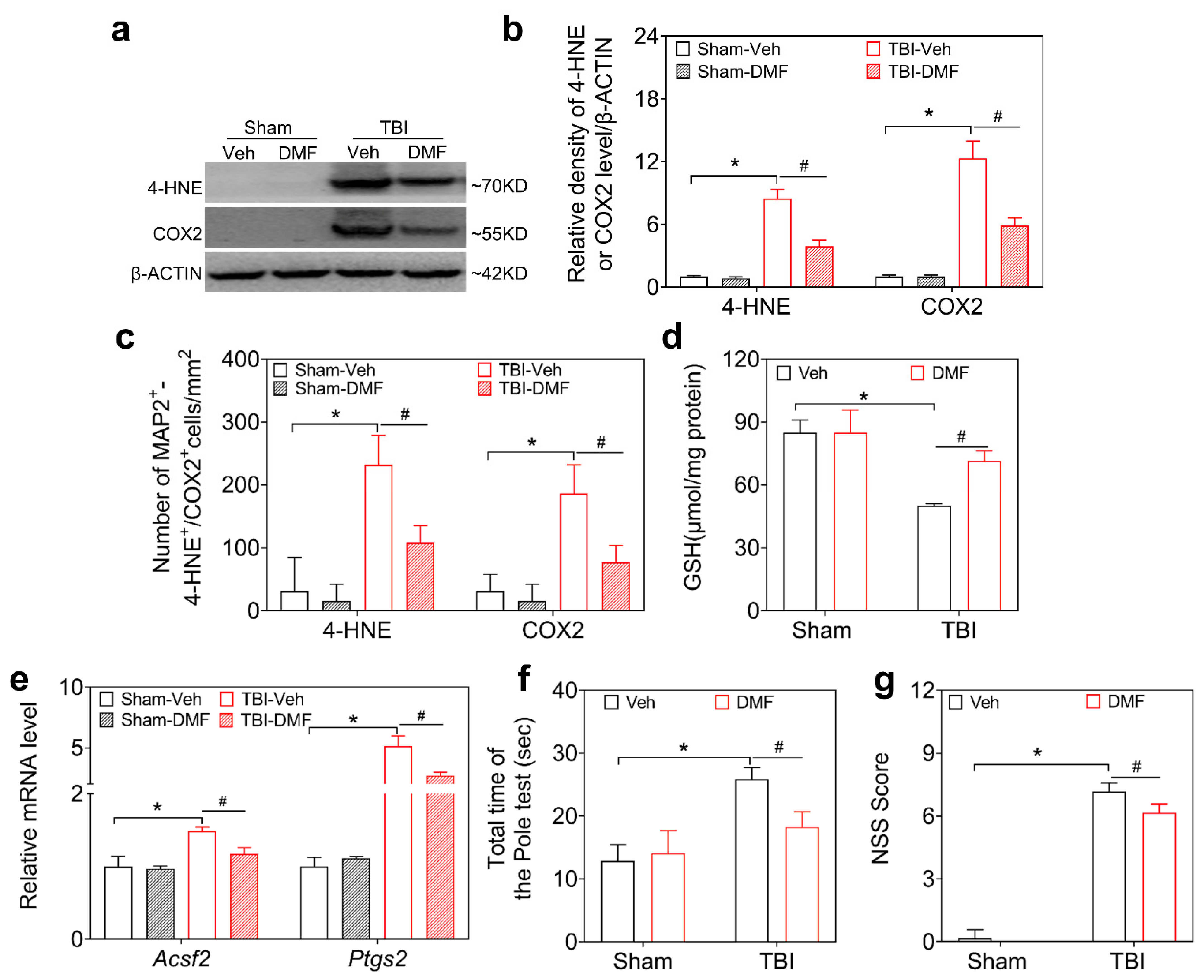 Antioxidants 12 00731 g004