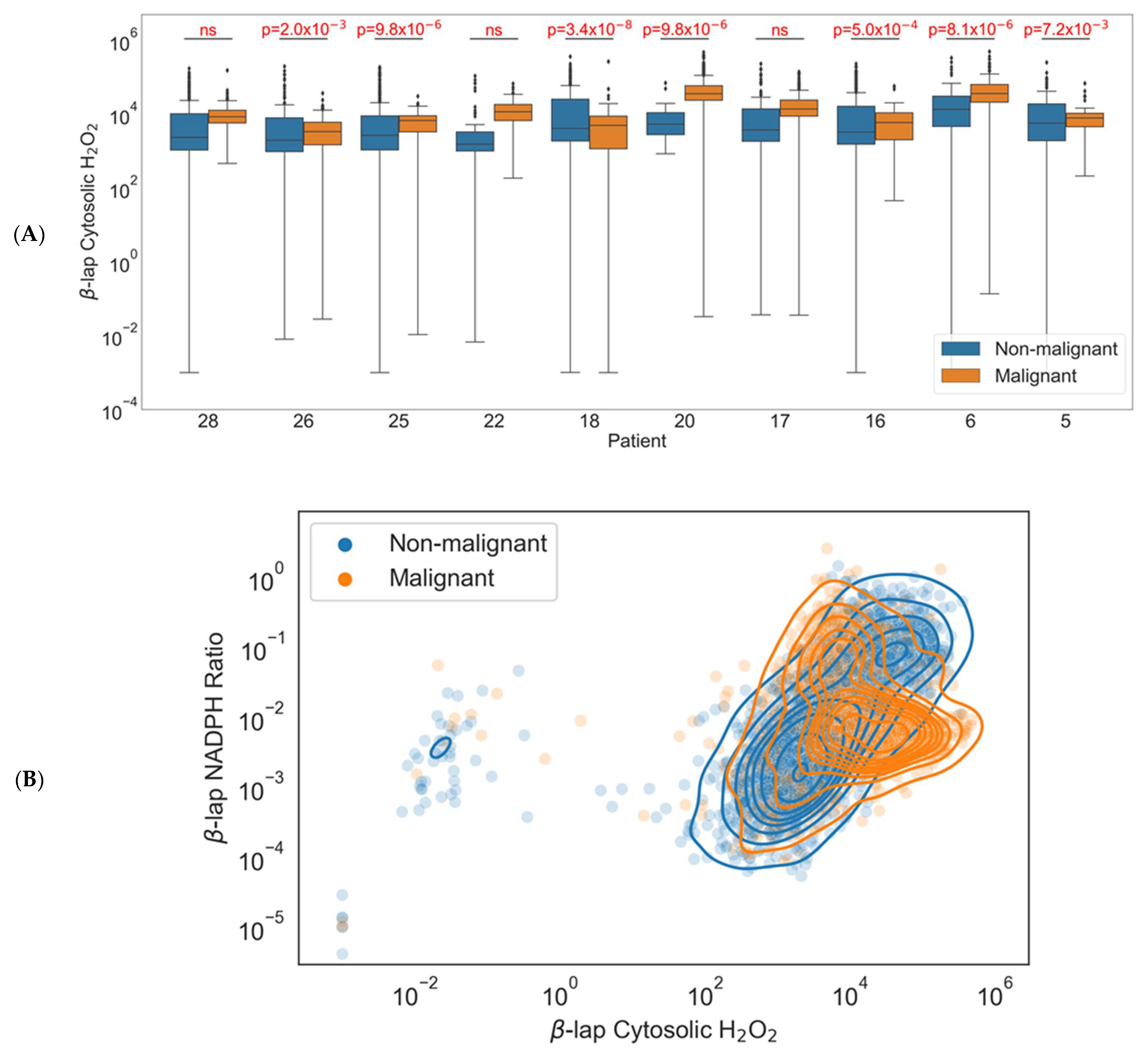 Antioxidants 12 00741 g004 Antioxidants 12 00741 g004