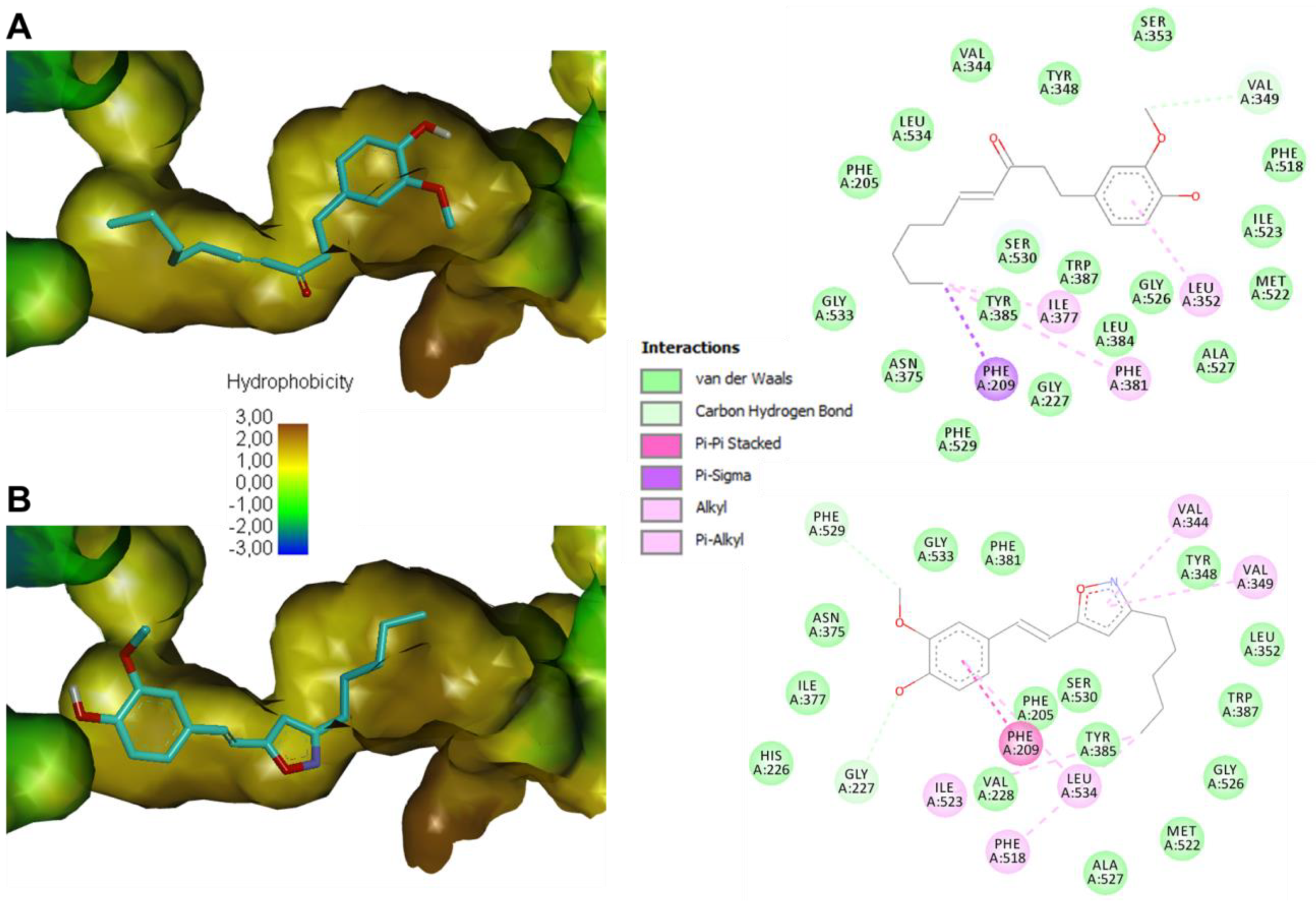 Antioxidants 12 00744 g001