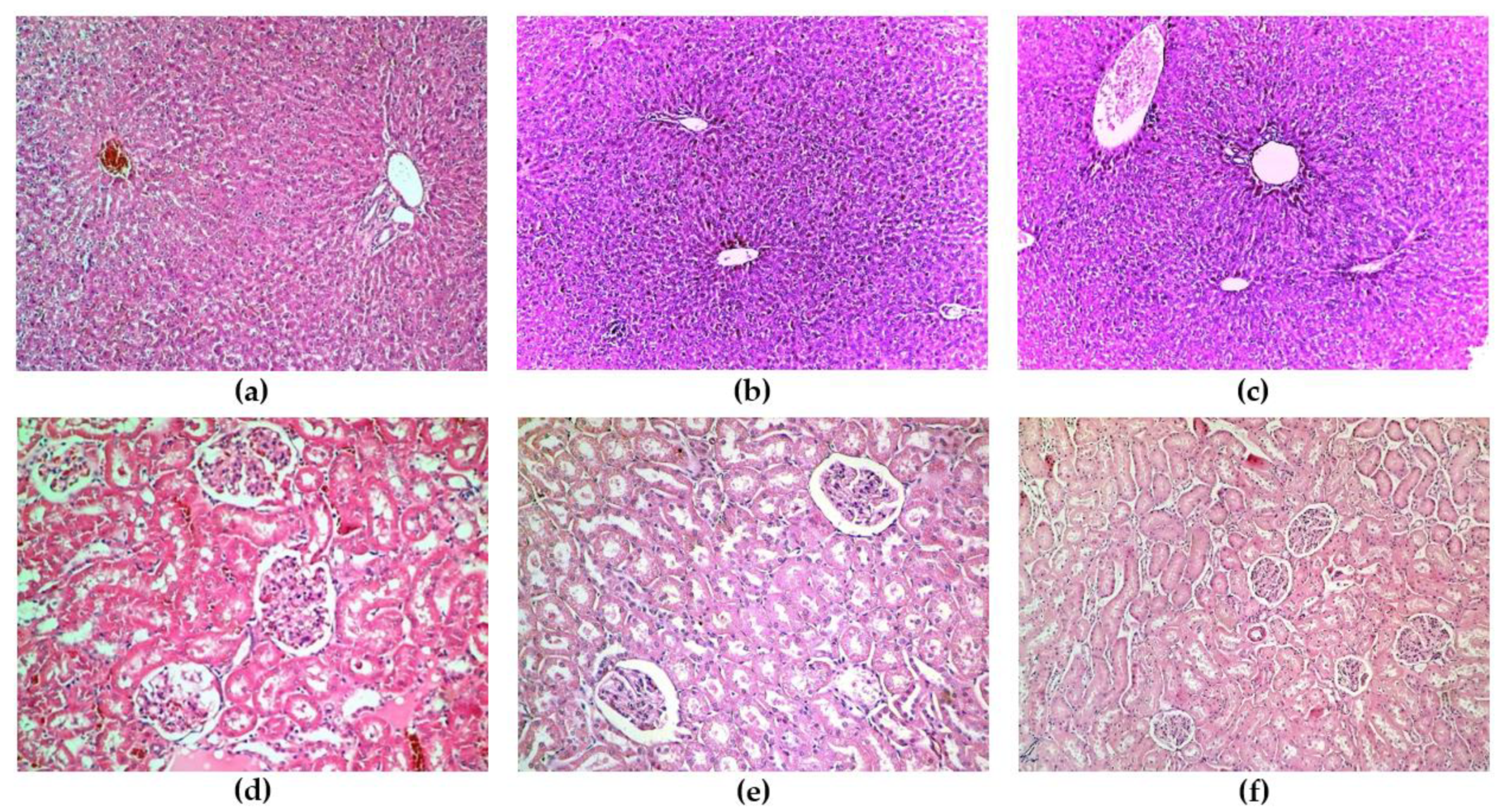 Antioxidants 12 00745 g002 Antioxidants 12 00745 g002