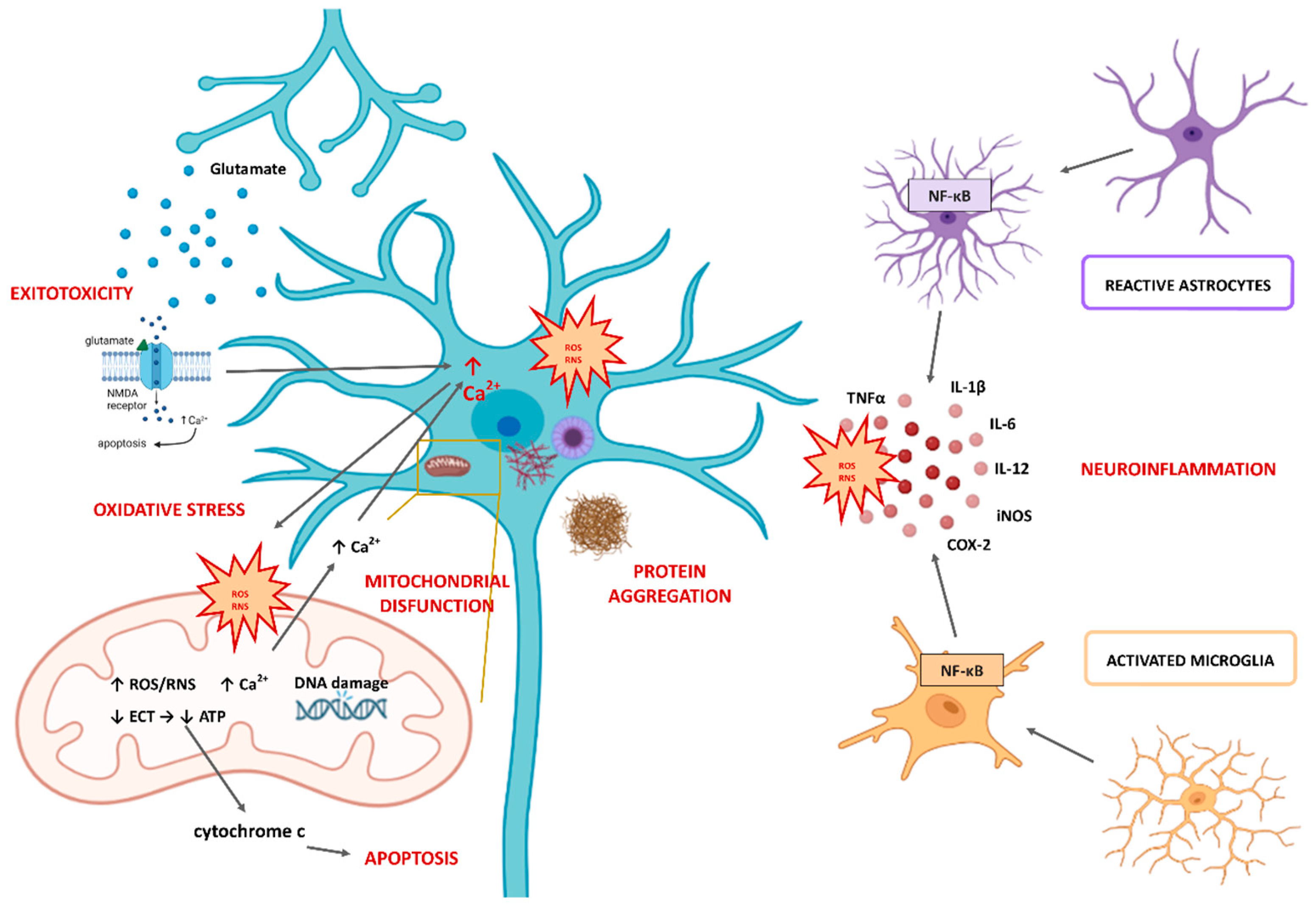 Antioxidants 12 00746 g002