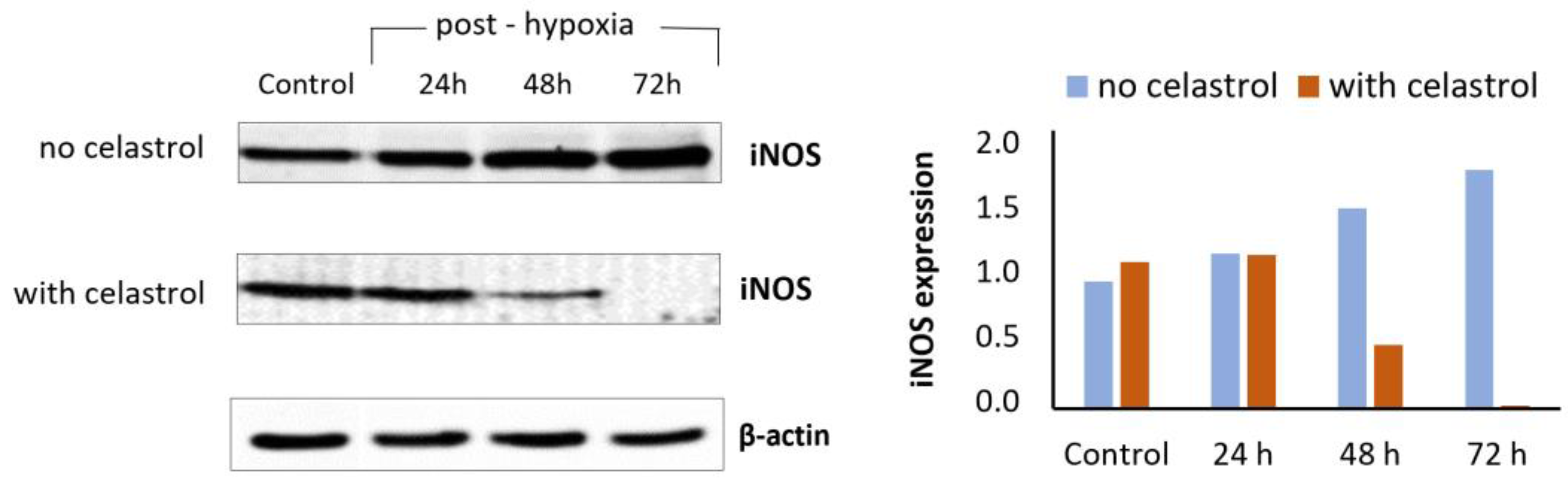 Antioxidants 12 00746 g006