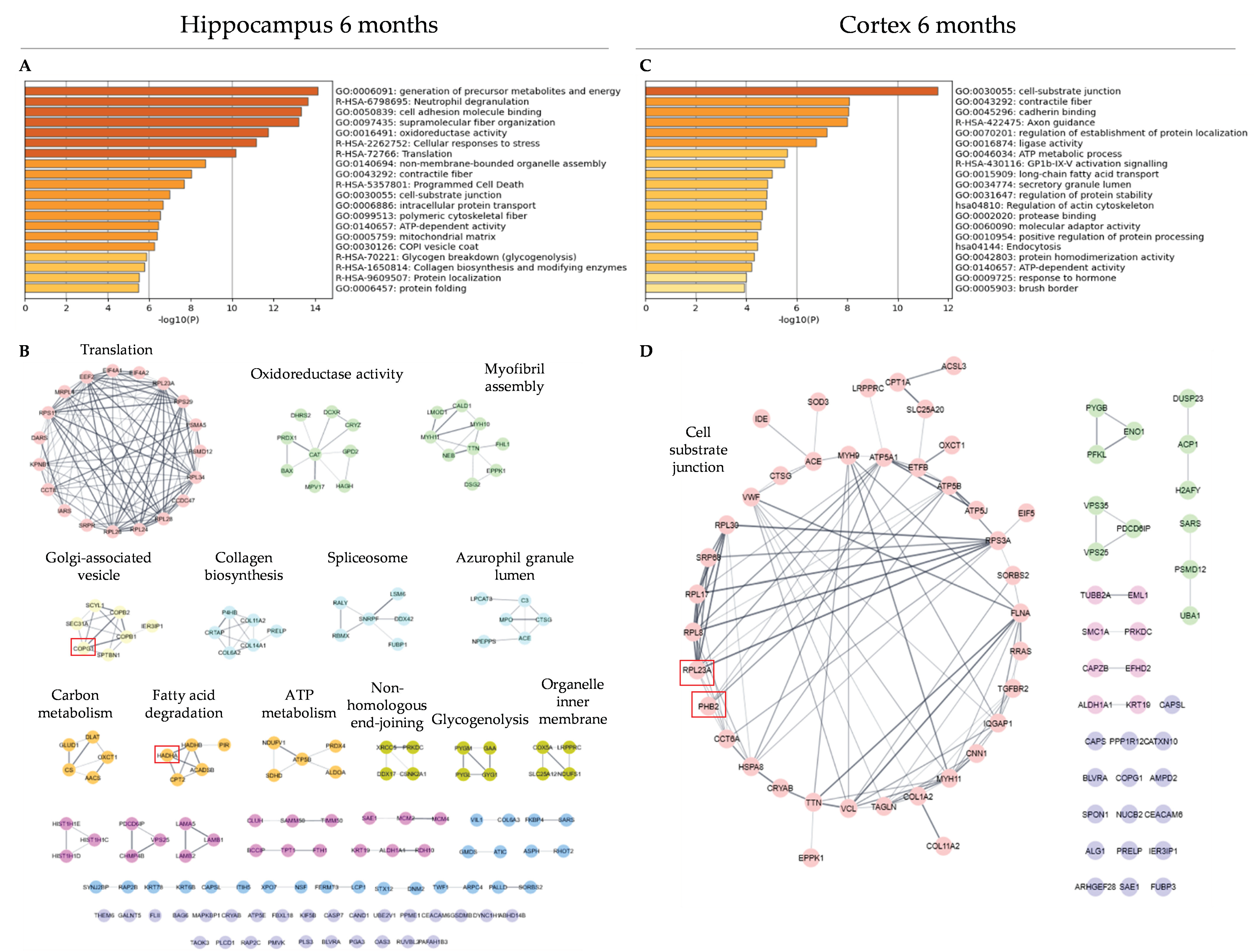 Antioxidants 12 00747 g002