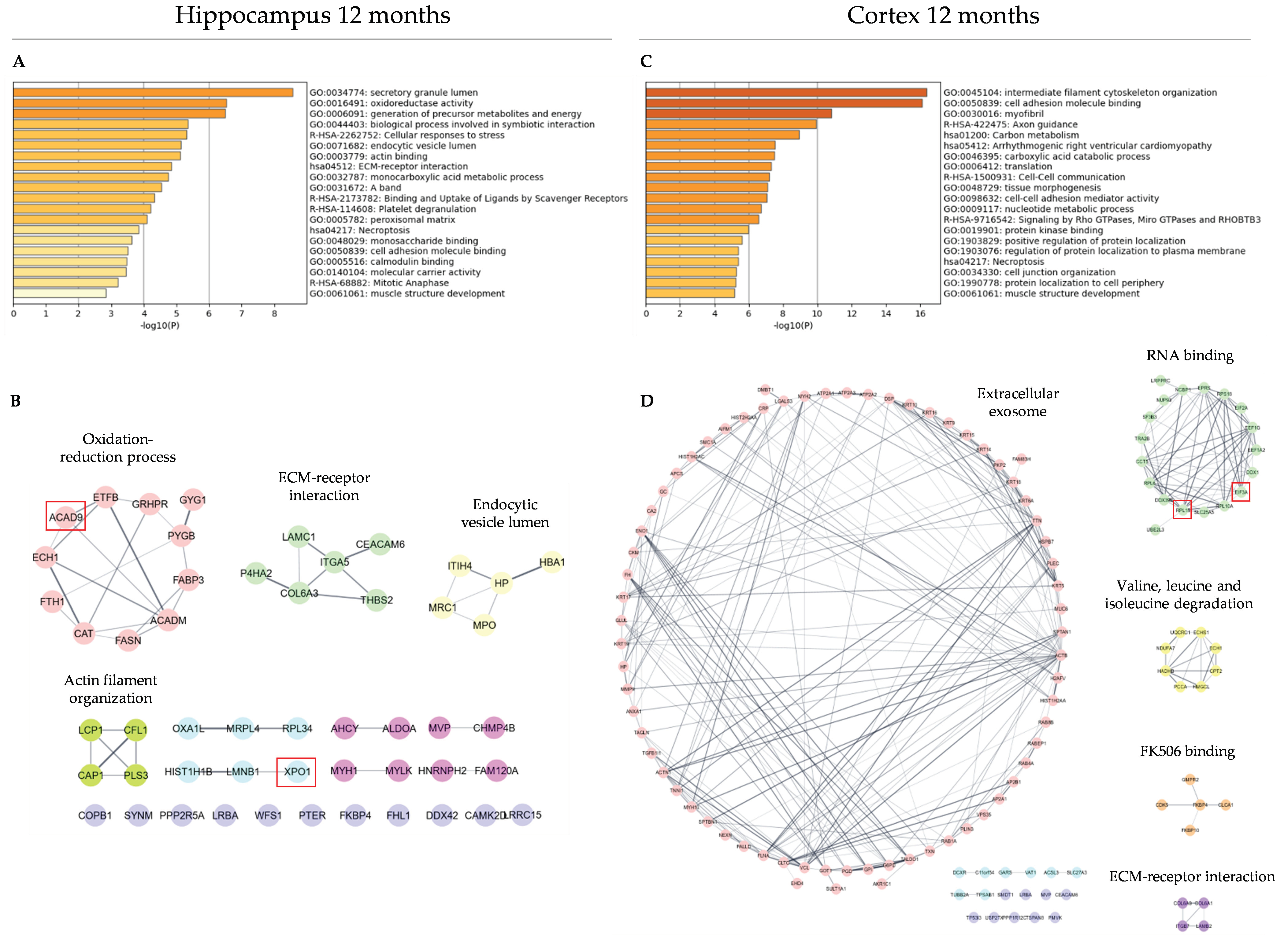 Antioxidants 12 00747 g003