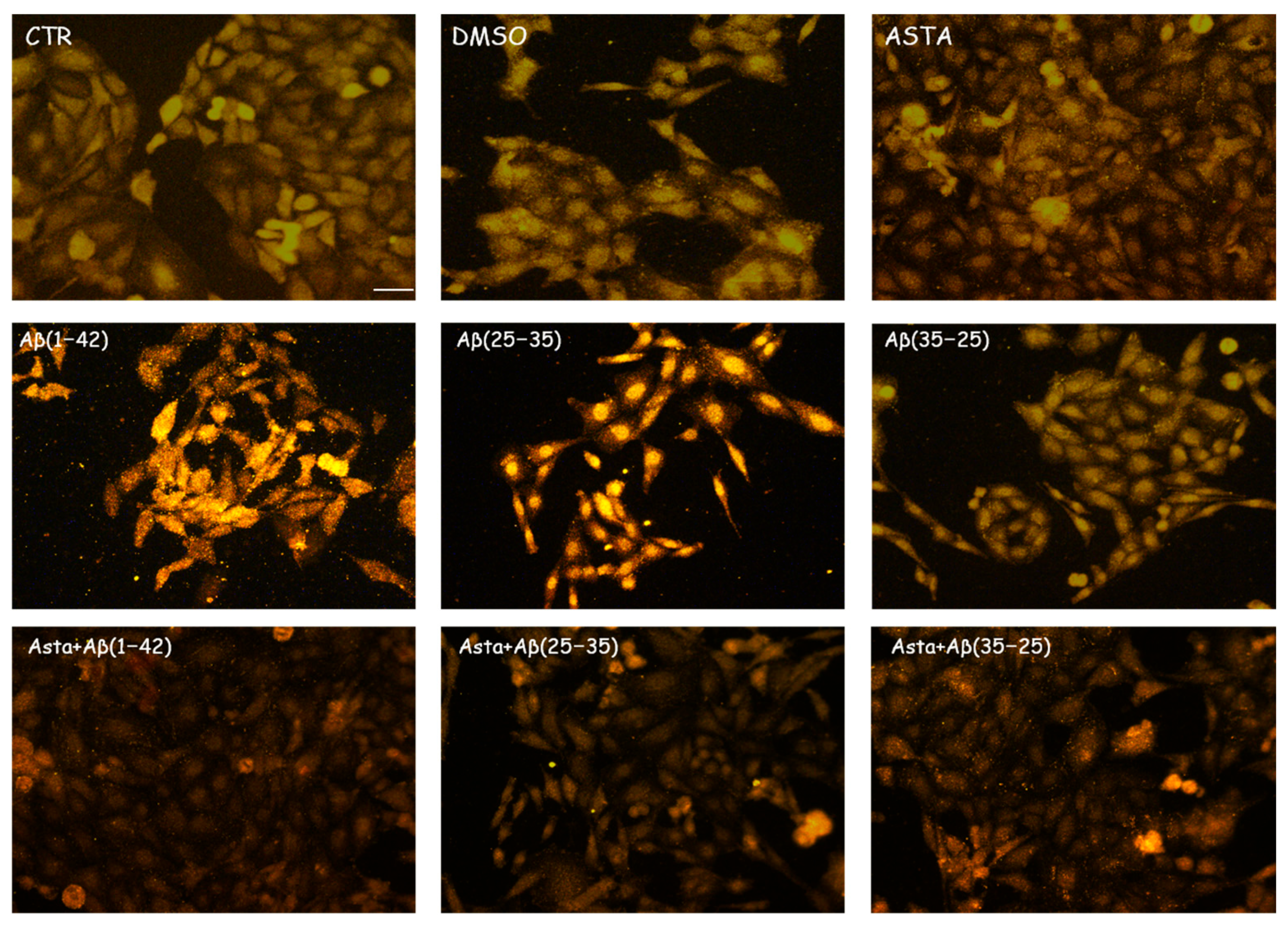 Antioxidants 12 00750 g002 Antioxidants 12 00750 g002
