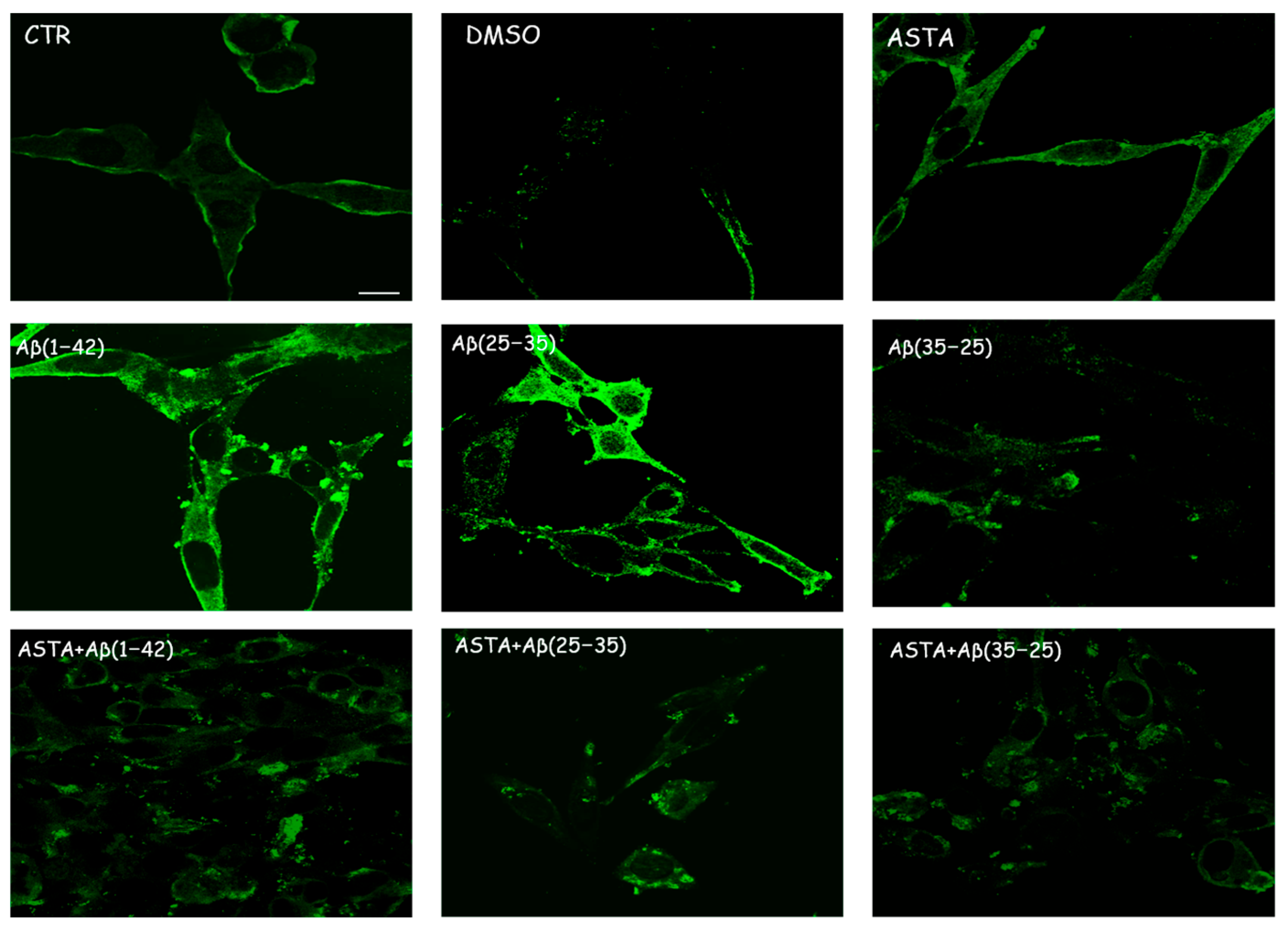 Antioxidants 12 00750 g004 Antioxidants 12 00750 g004
