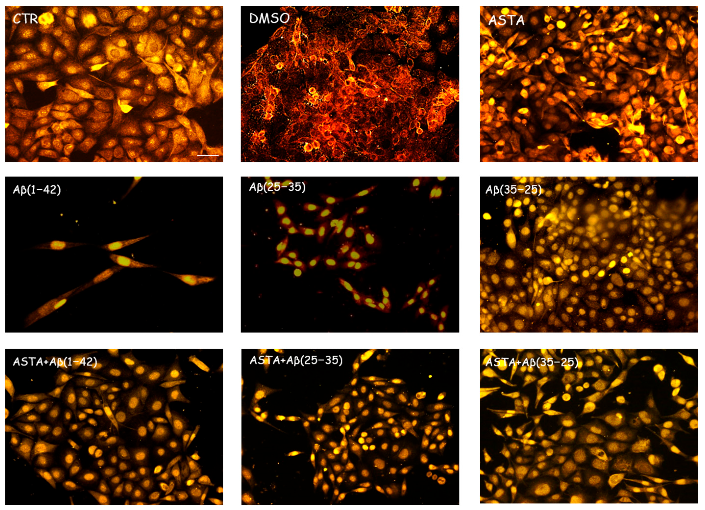 Antioxidants 12 00750 g005 Antioxidants 12 00750 g005