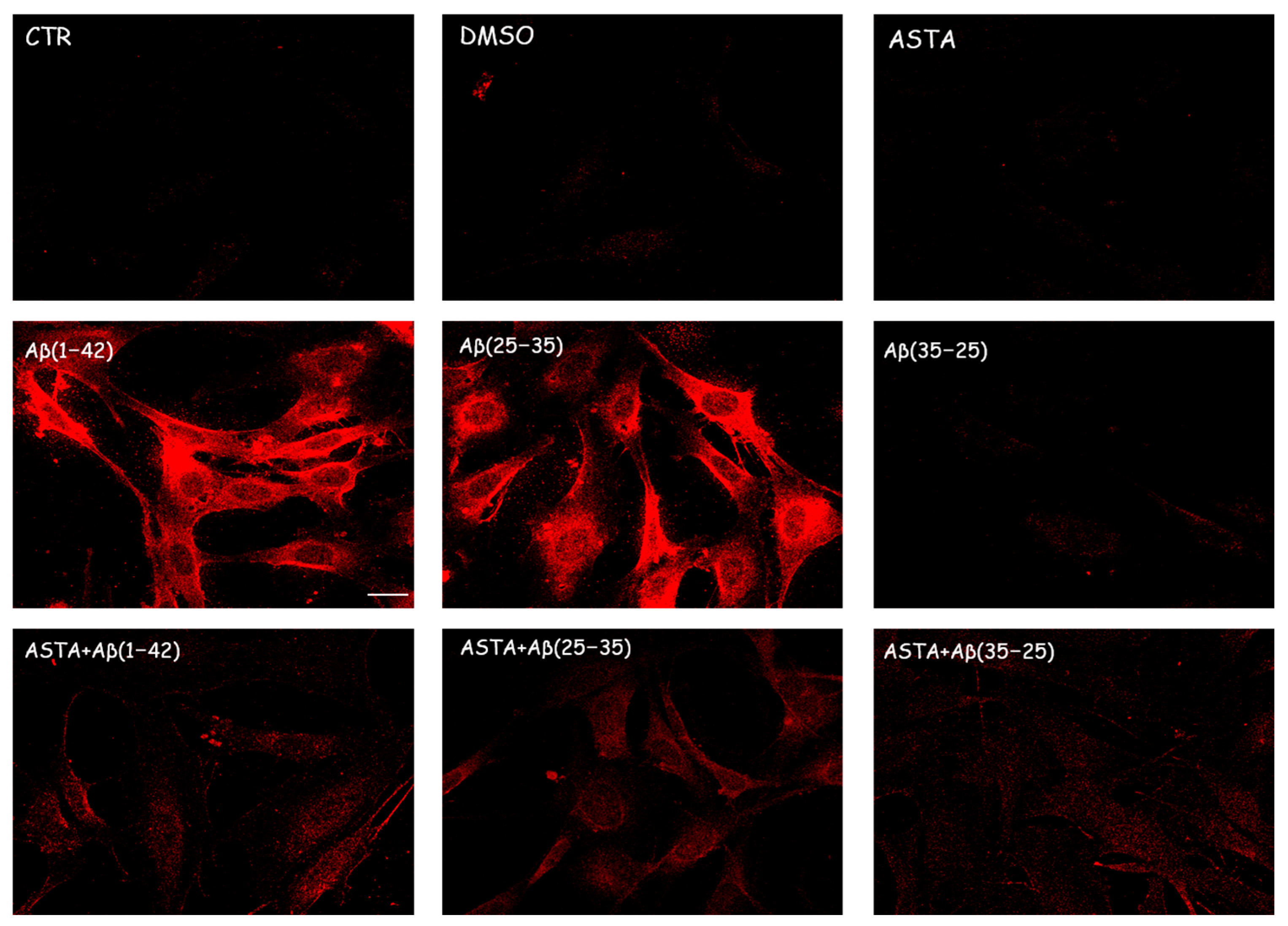 Antioxidants 12 00750 g006 Antioxidants 12 00750 g006