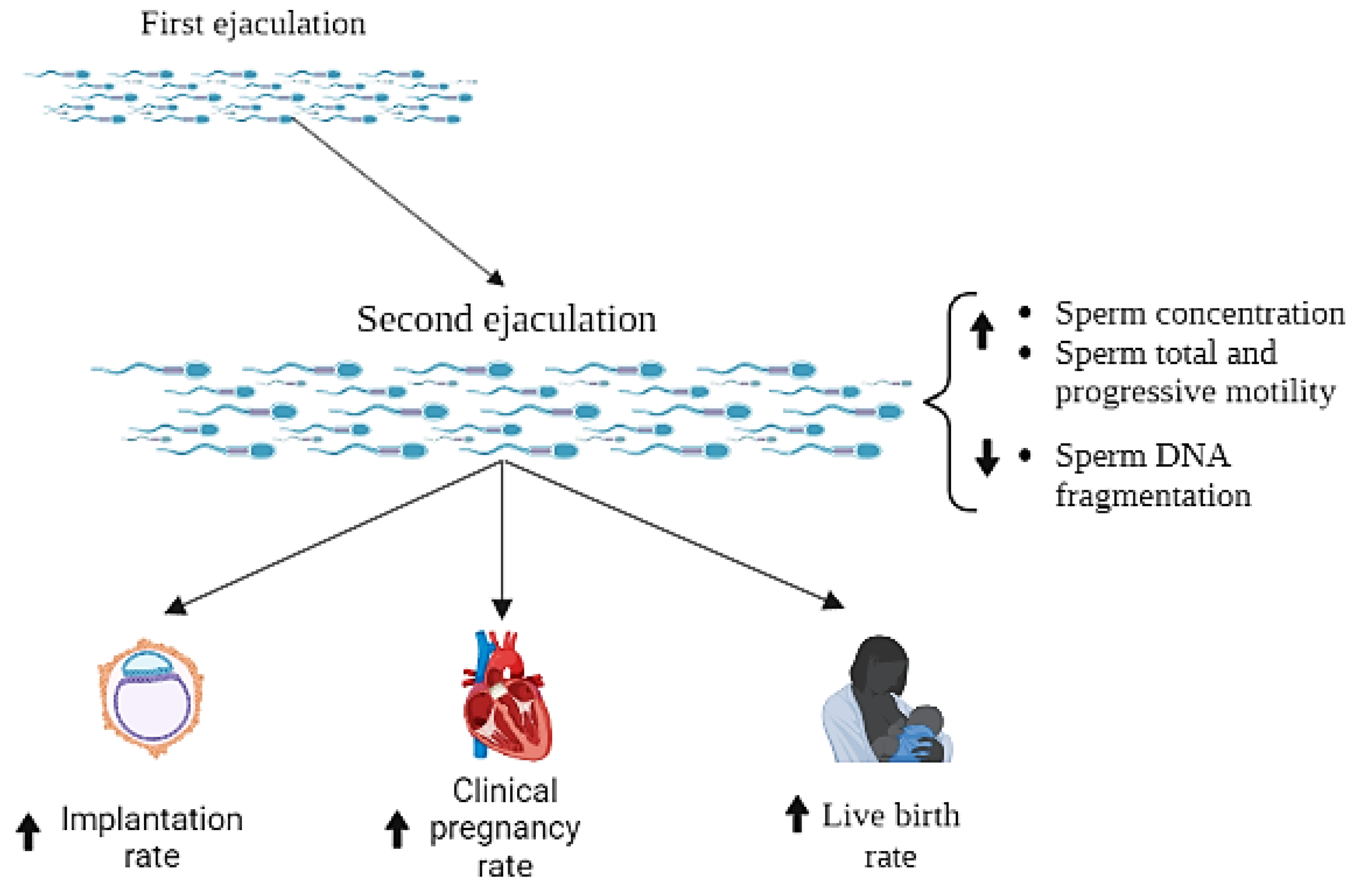 Antioxidants 12 00752 g007