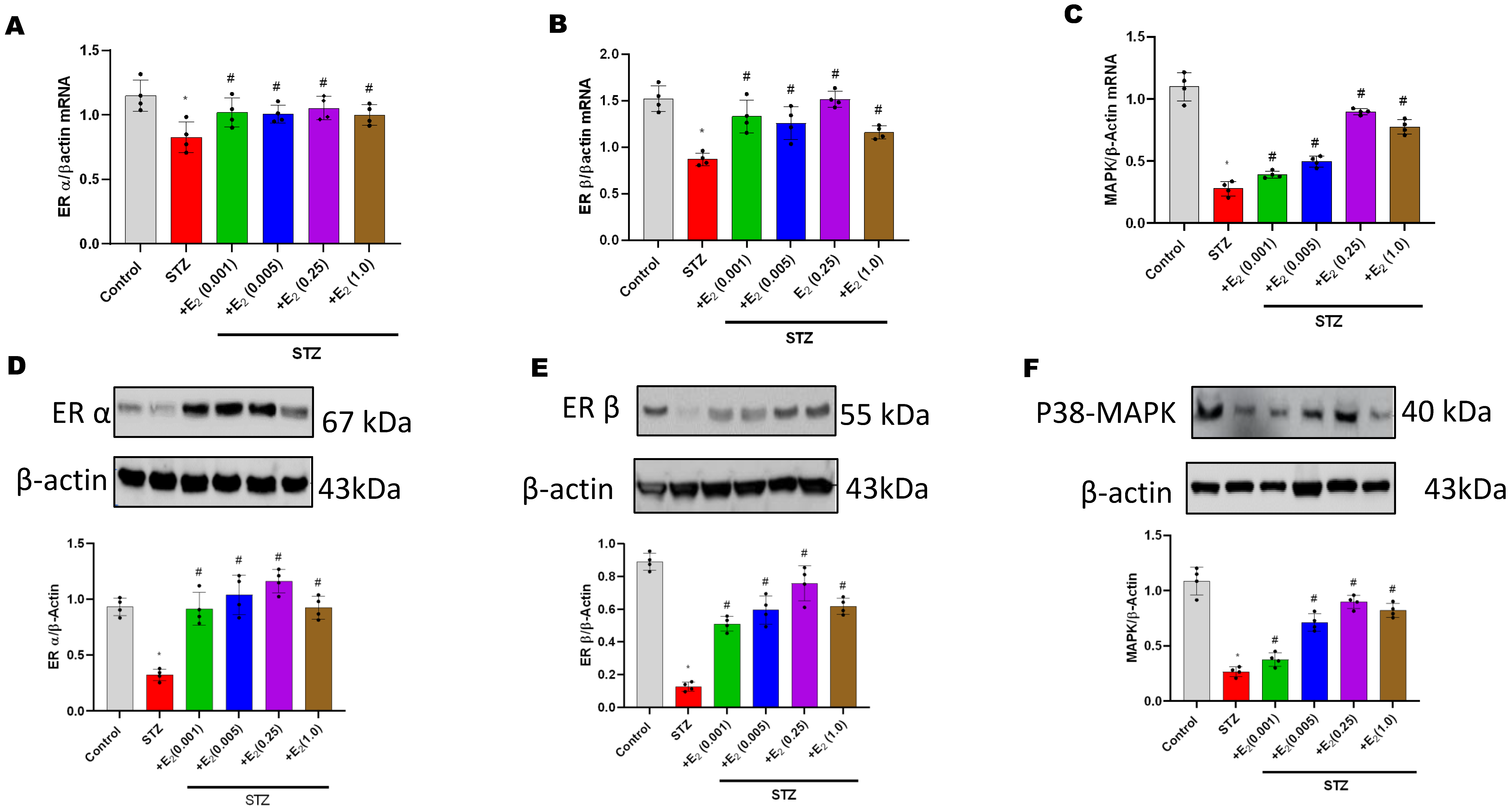 Antioxidants 12 00758 g002